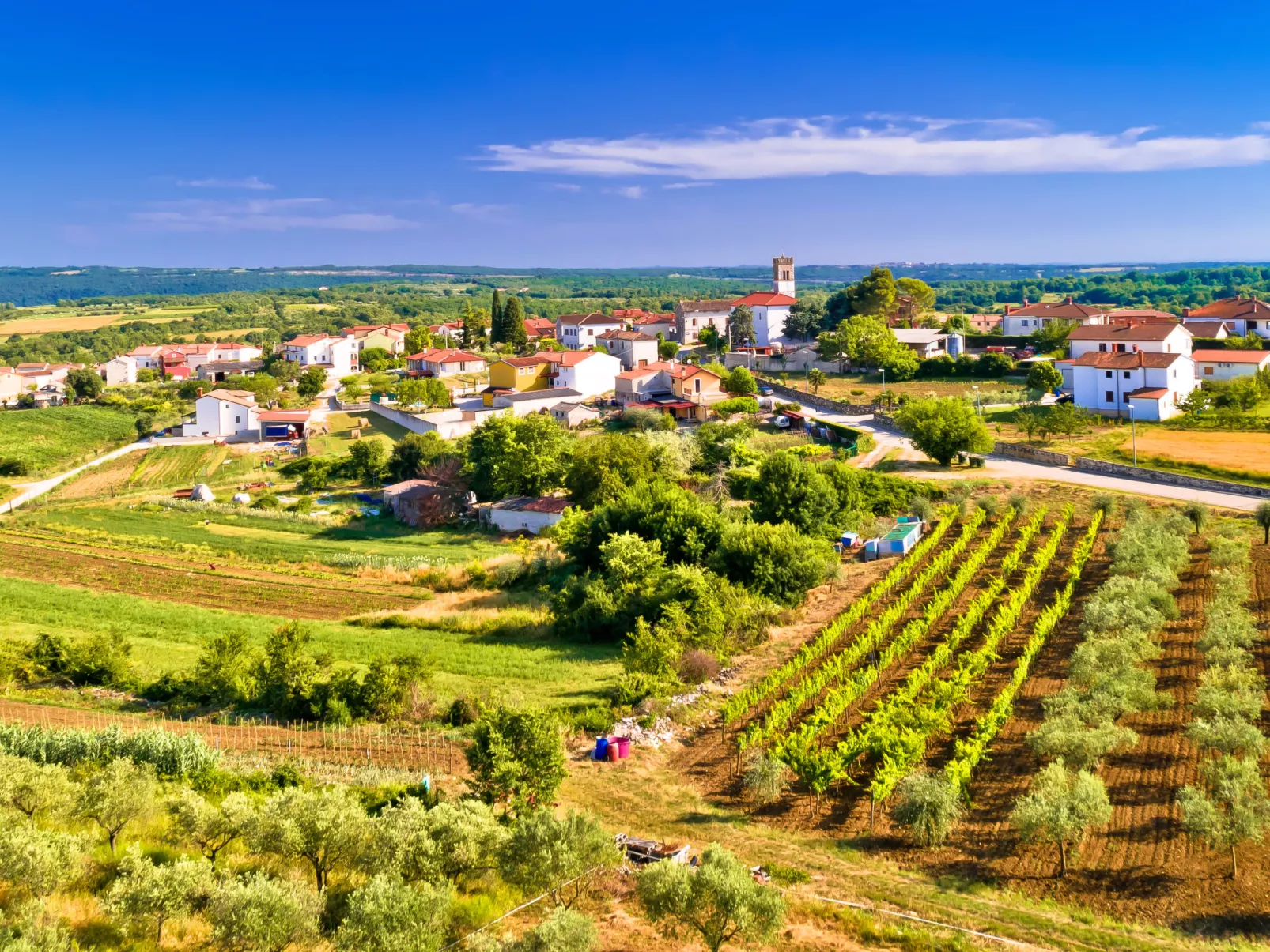 Wohnung 'Villa Plavo mehr-Environnement