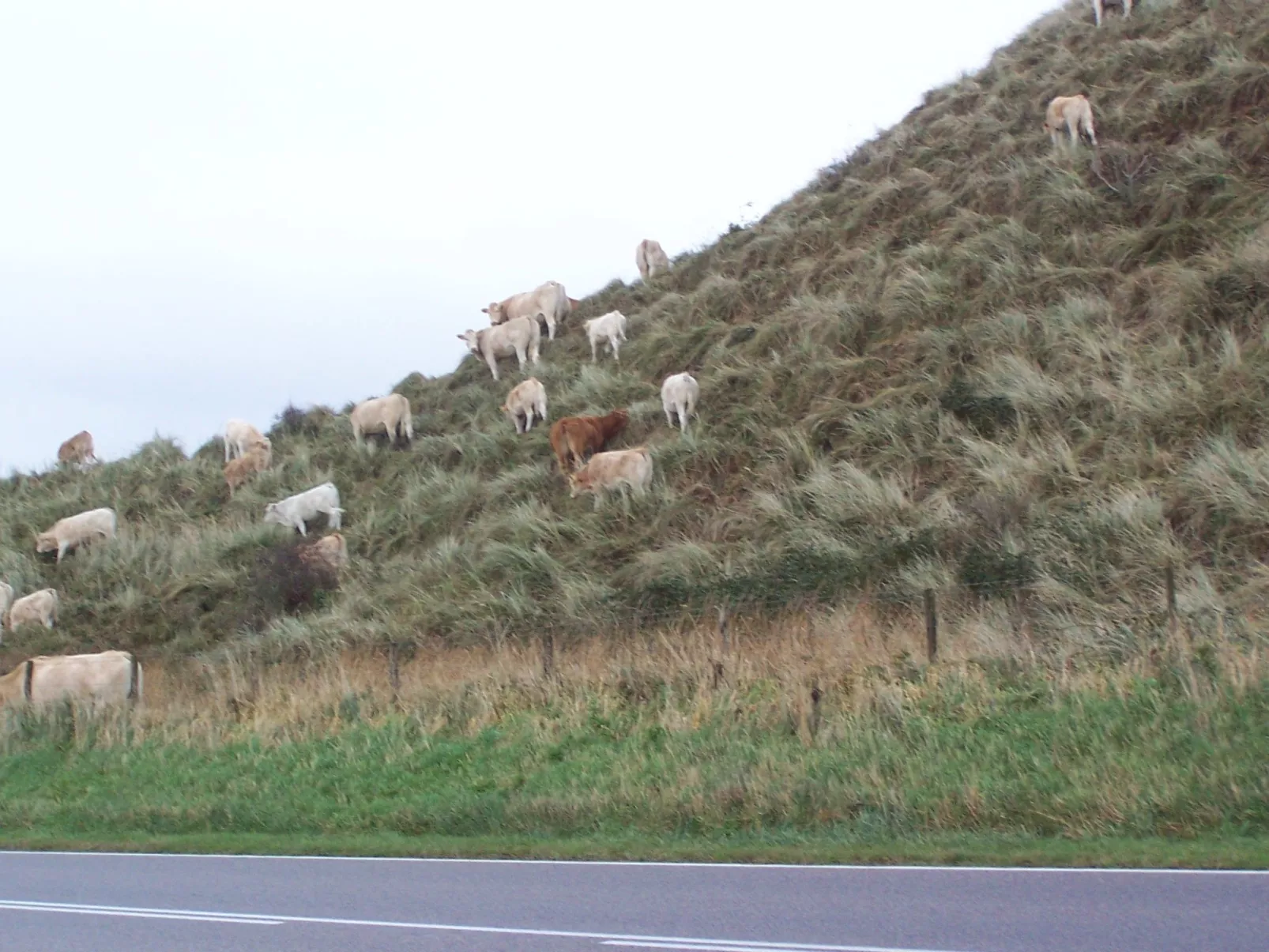 De Korre 2 in Callantsoog-Dehors