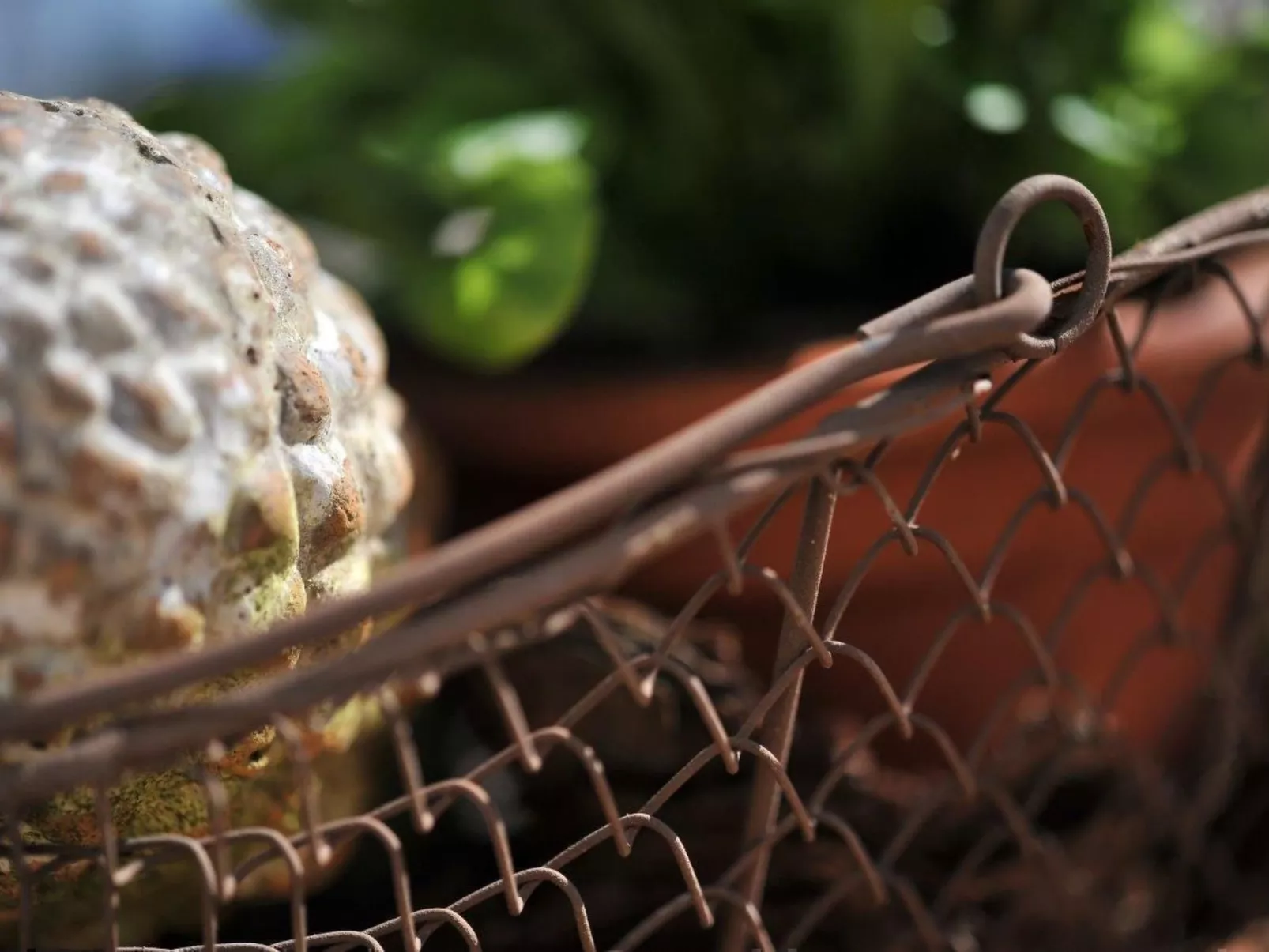 In Ummanz mit Sauna, Garten und Grill-Image-tags.info