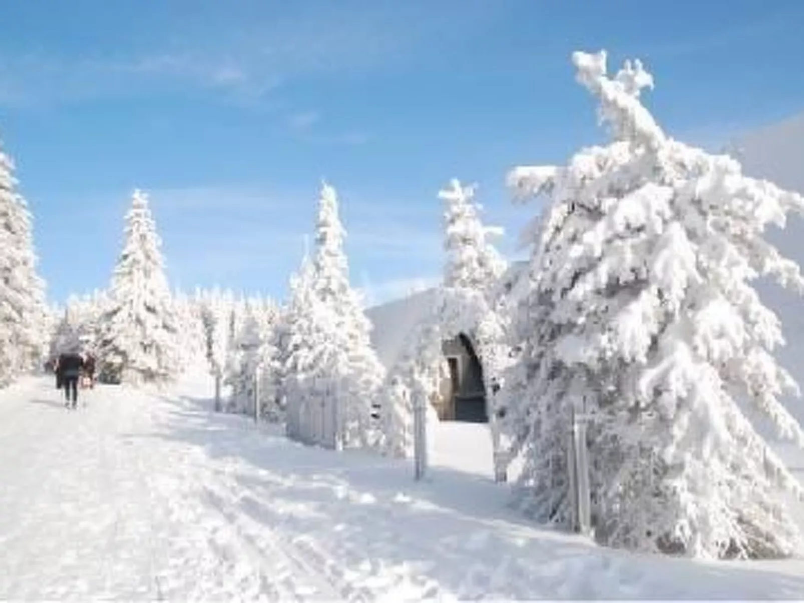 Gemütliche Ferienwohnung im Thüringer Wald-Dehors