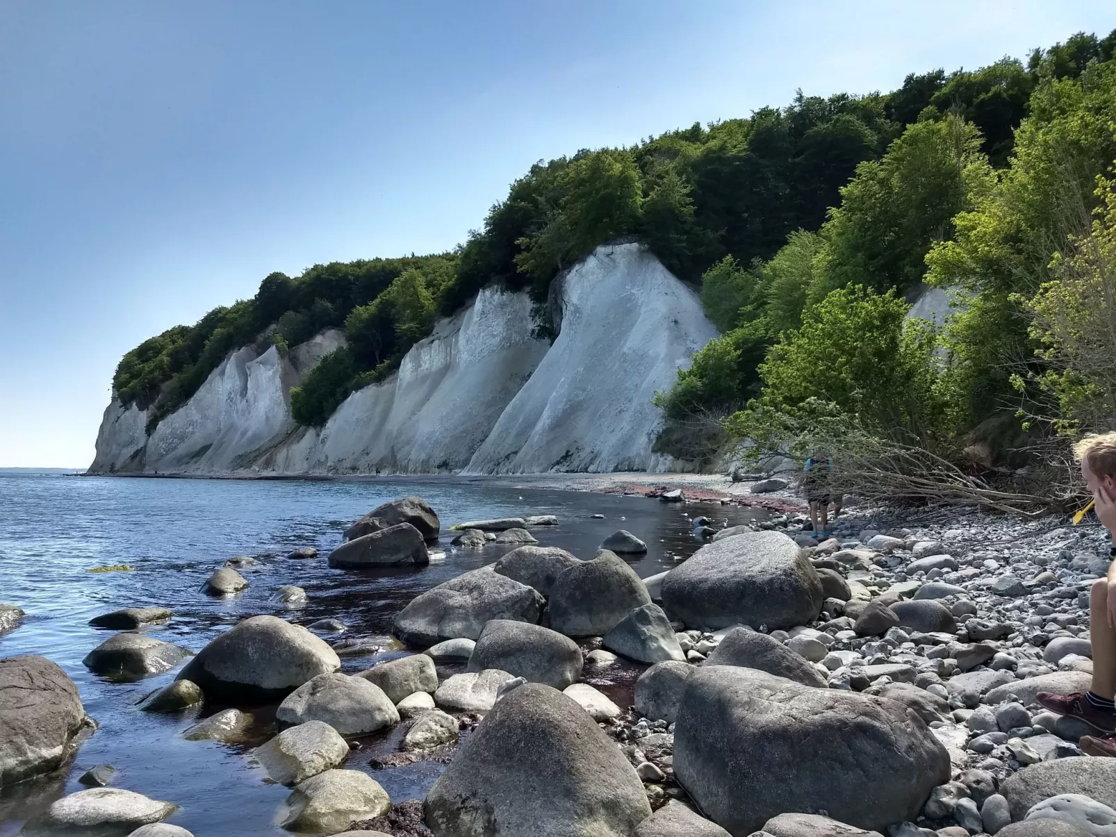 Schmetterling-Outside