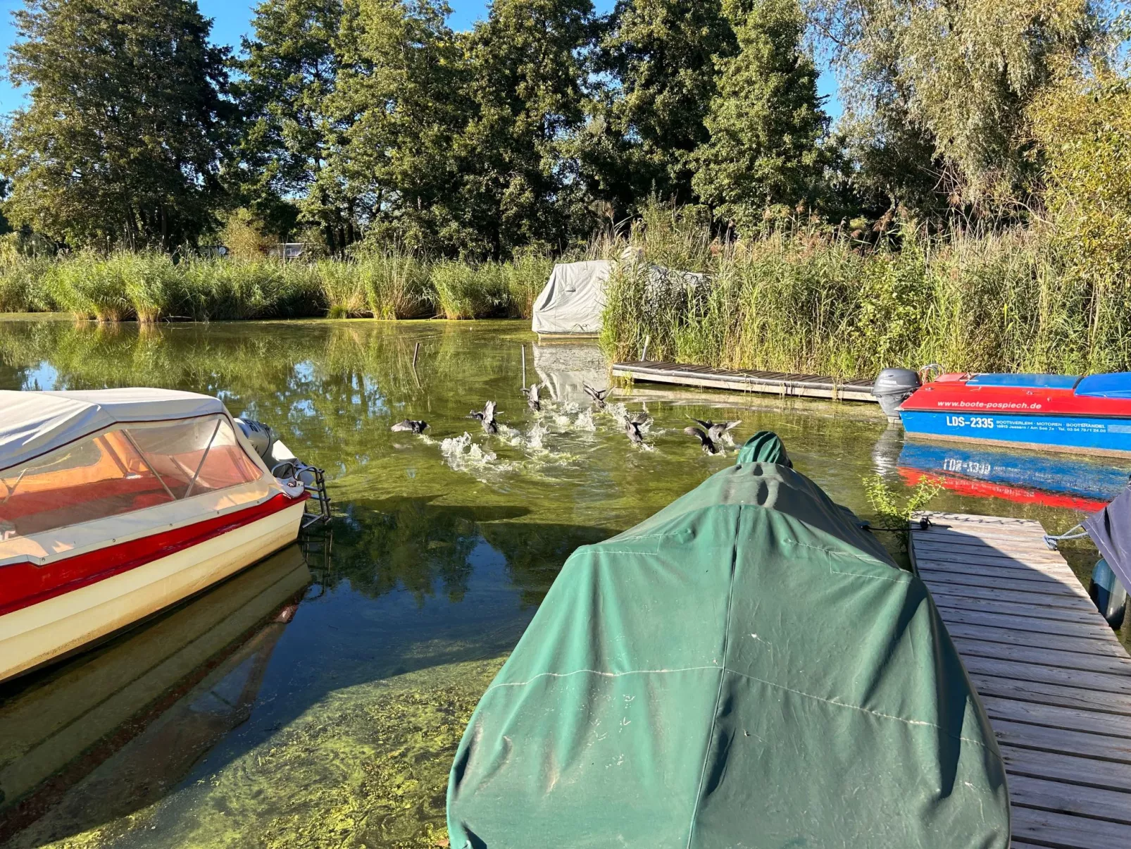 Am Schwielochsee-Outside