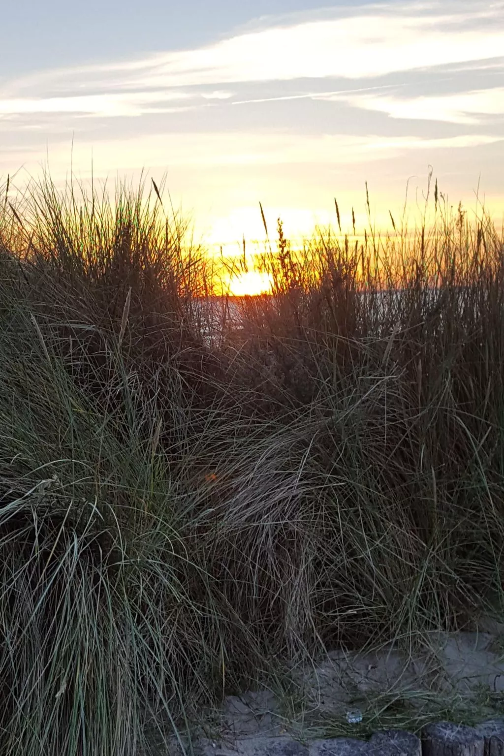 Fewo Waldblick EG-Image-tags.info