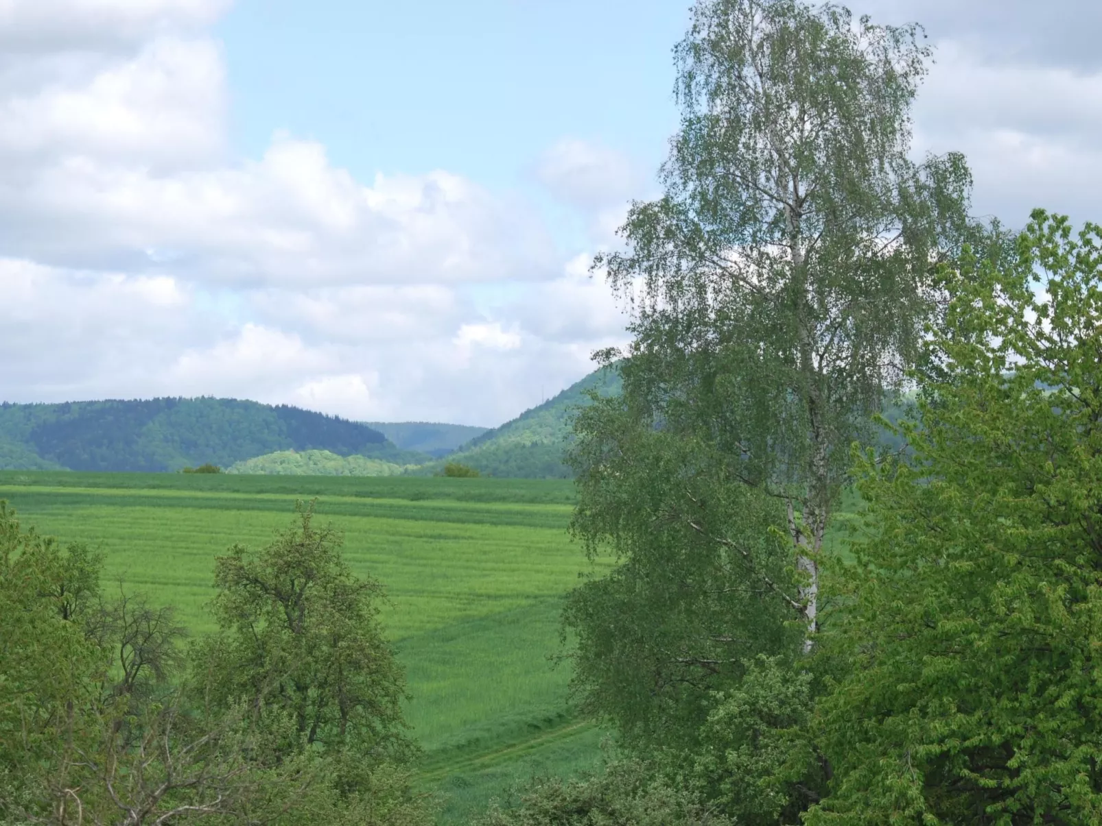 Fewo Stricker 11,-Draußen