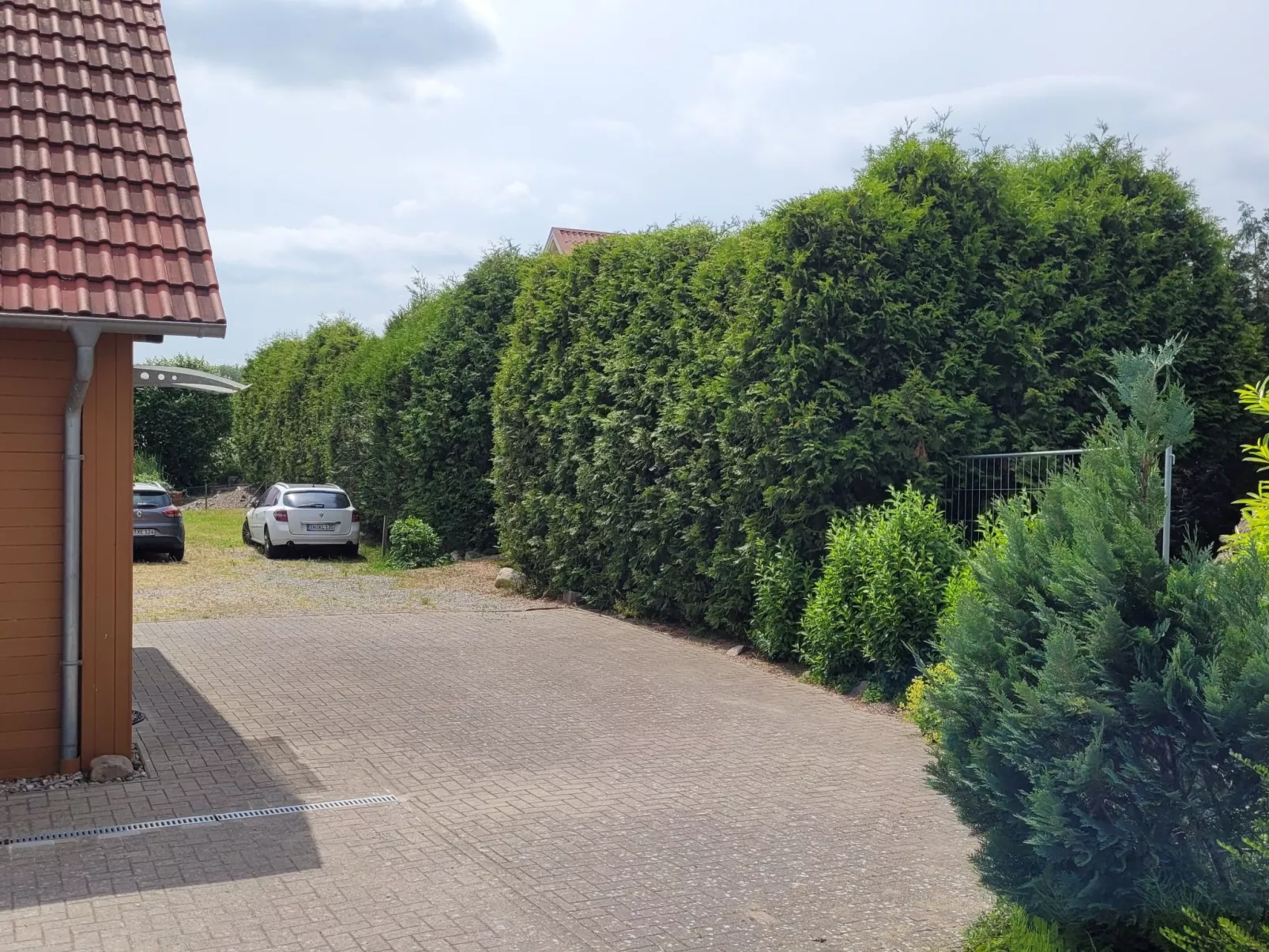 Mit Terrasse-Draußen