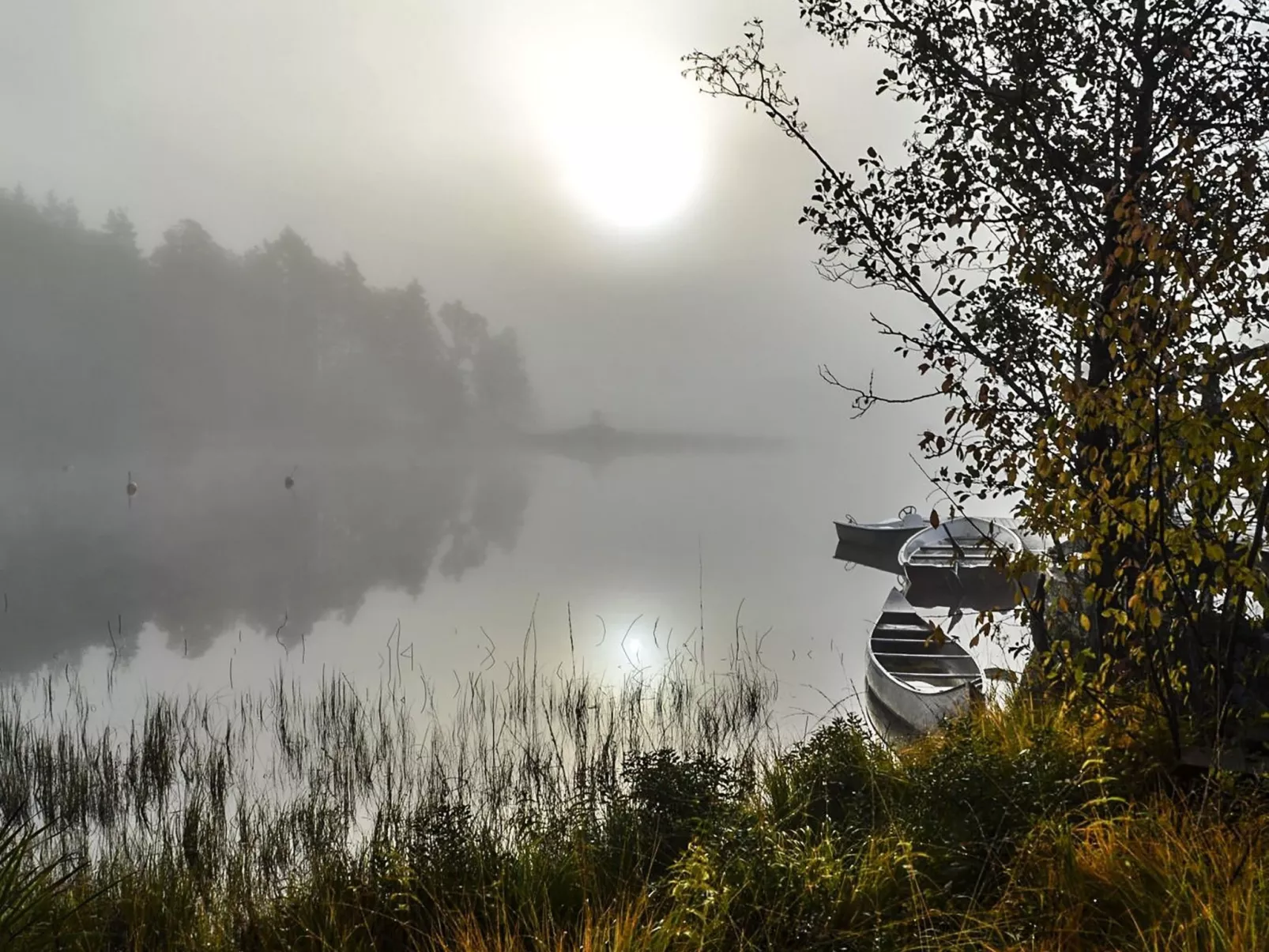 Schwedisches Glück, zwischen Wäldern und einem See-Dehors