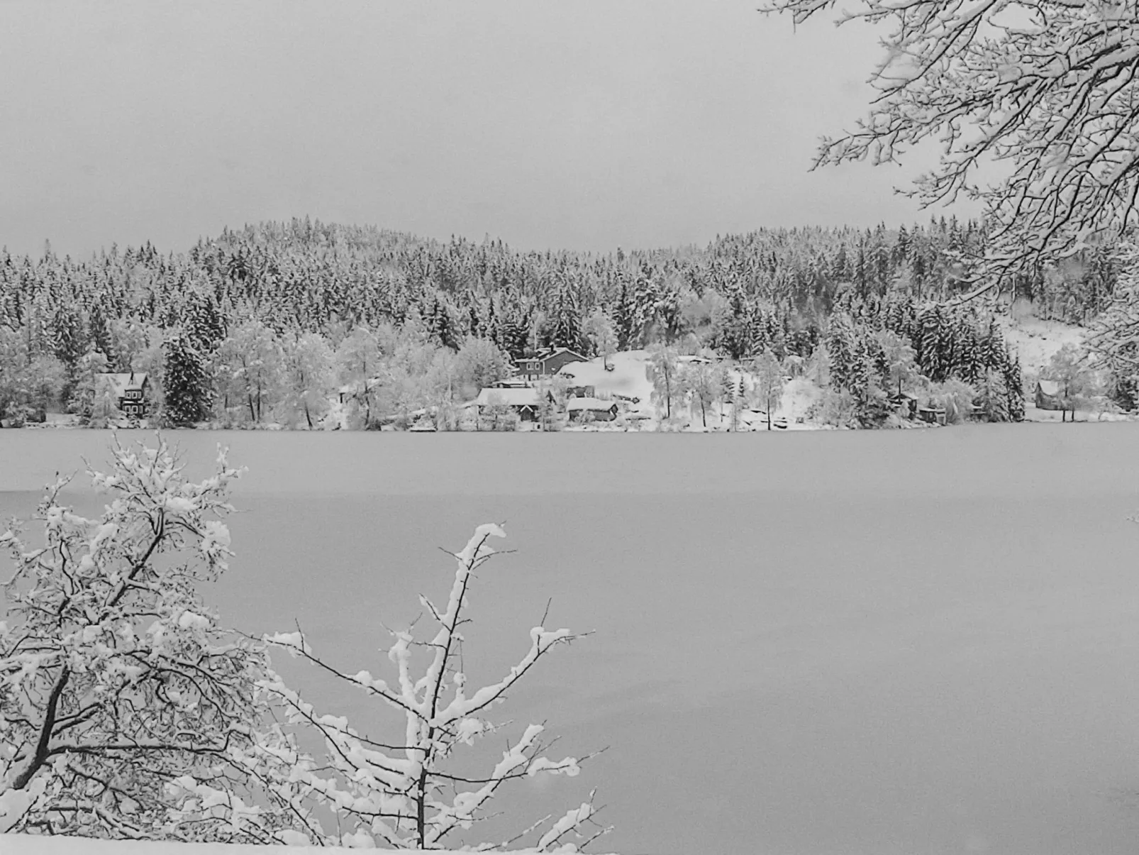 Schwedisches Glück, zwischen Wäldern und einem See-Outside