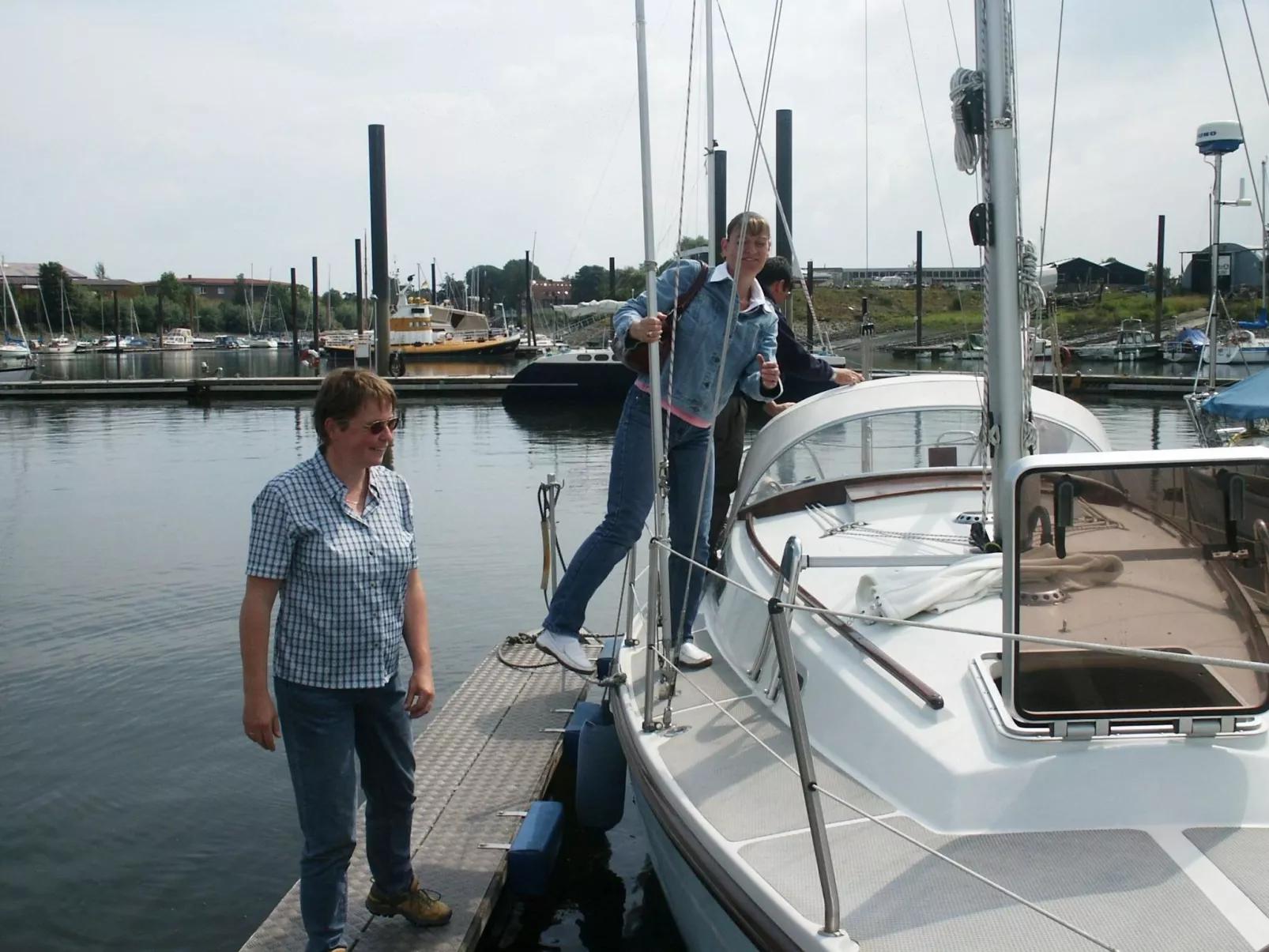 Silbermöwe-Image-tags.info