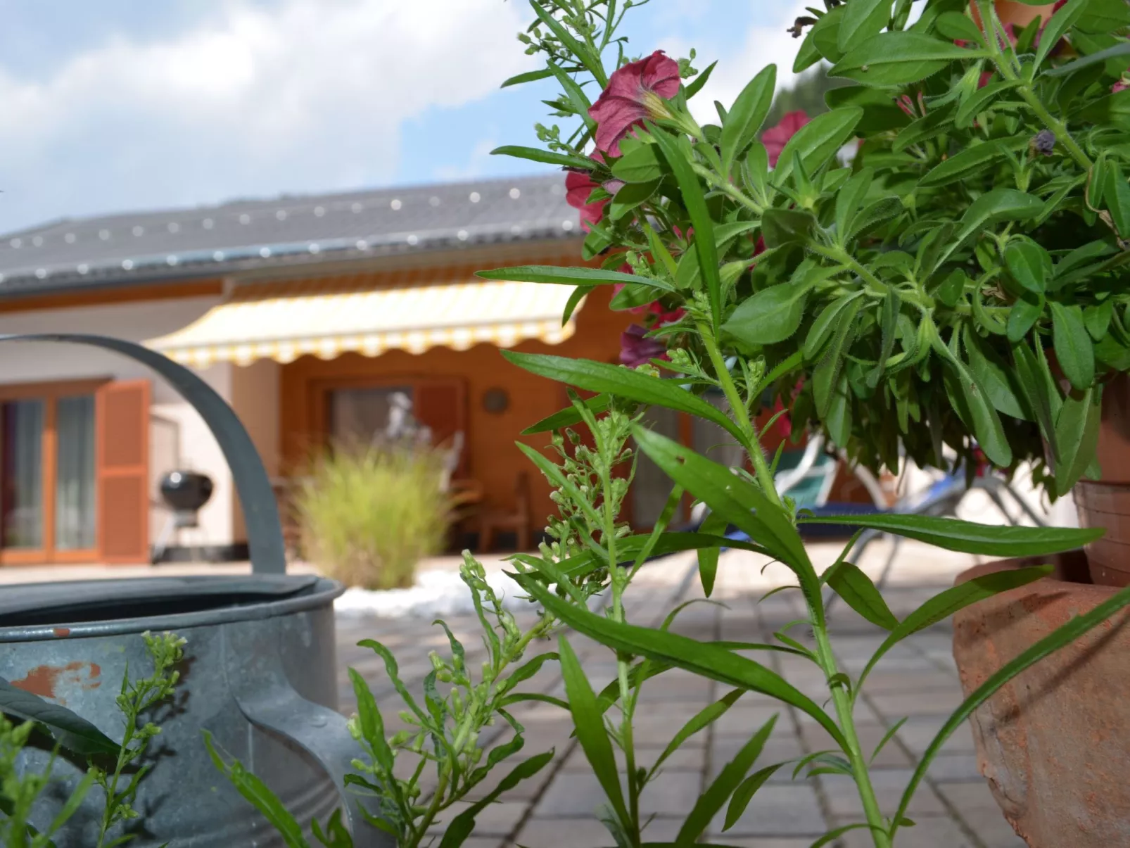 Geräumige Ferienwohnung mit zwei Schlafzimmern - Draußen