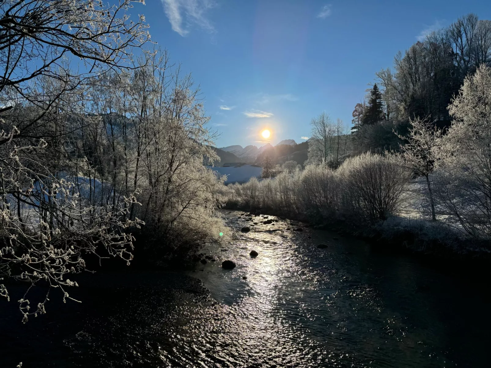 Zwinglis Fewo Klärli-Image-tags.info