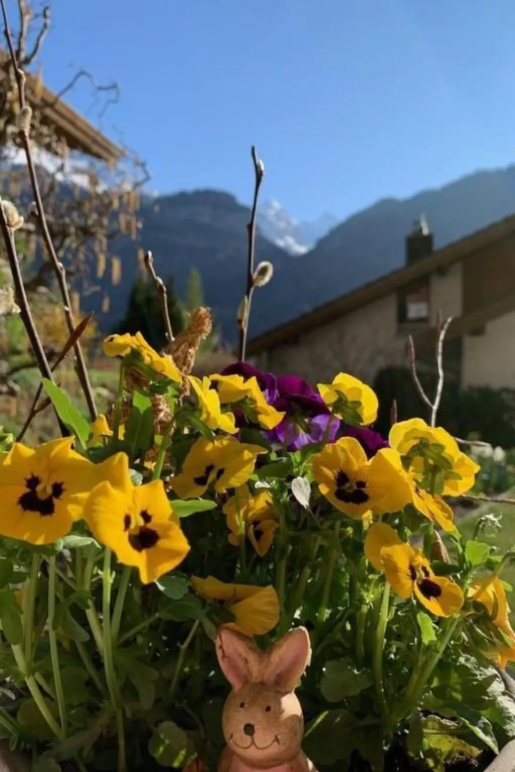 Sonnig und gemütlich-Dehors