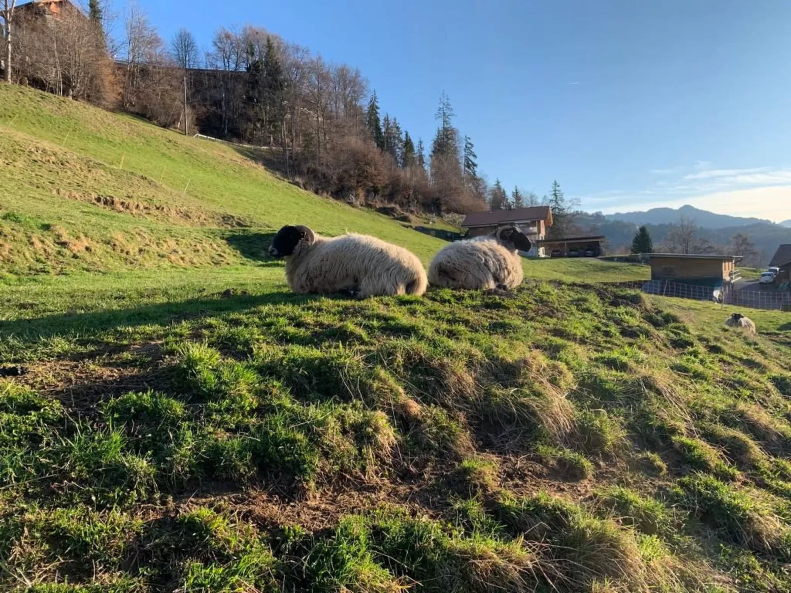 Chalet Felsli-Draußen