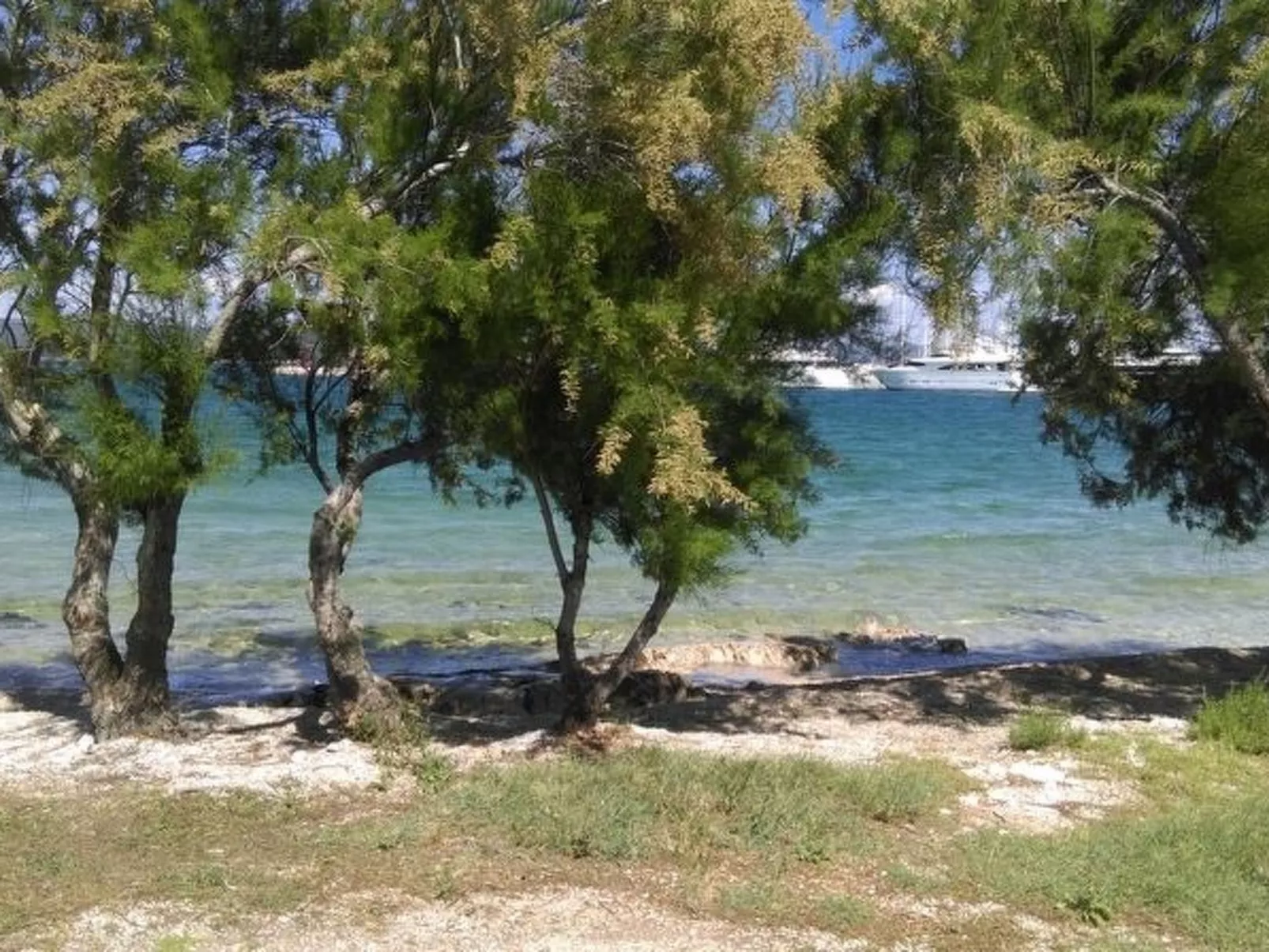 Superior Suite with Seaview-Image-tags.info