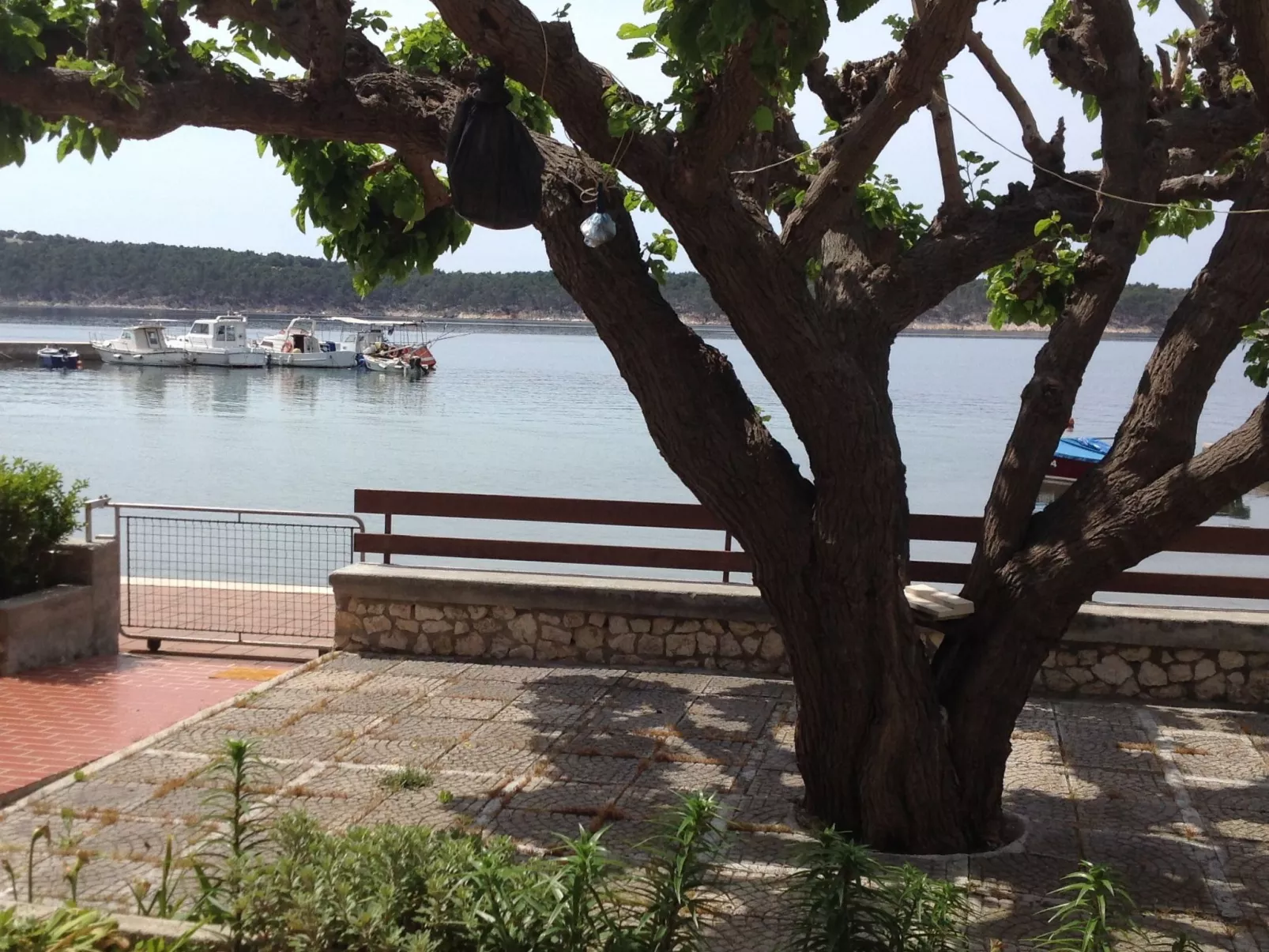 Wohnung 4 mit Meerblick-Draußen