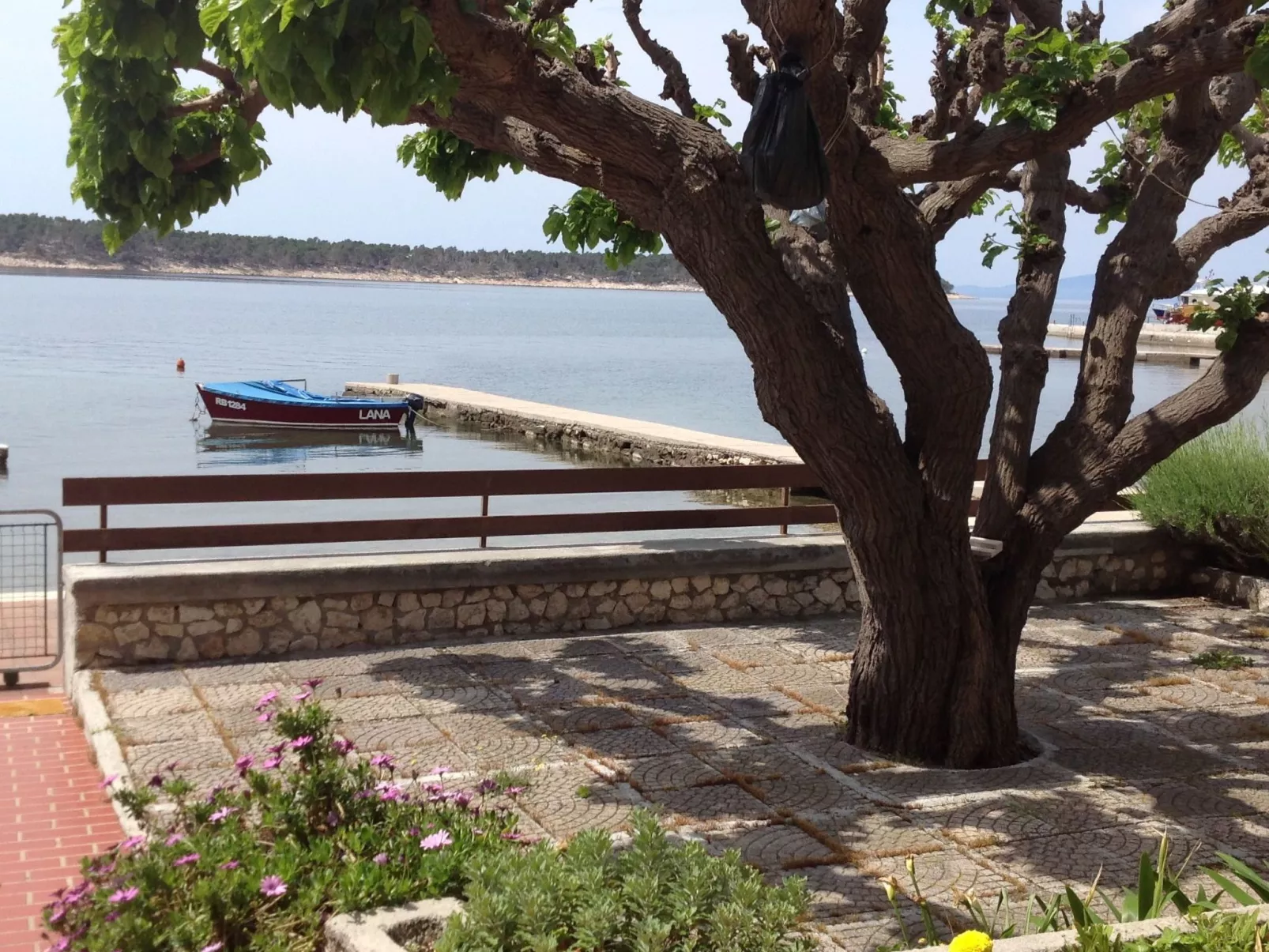 Wohnung 3 mit Meerblick-Image-tags.info