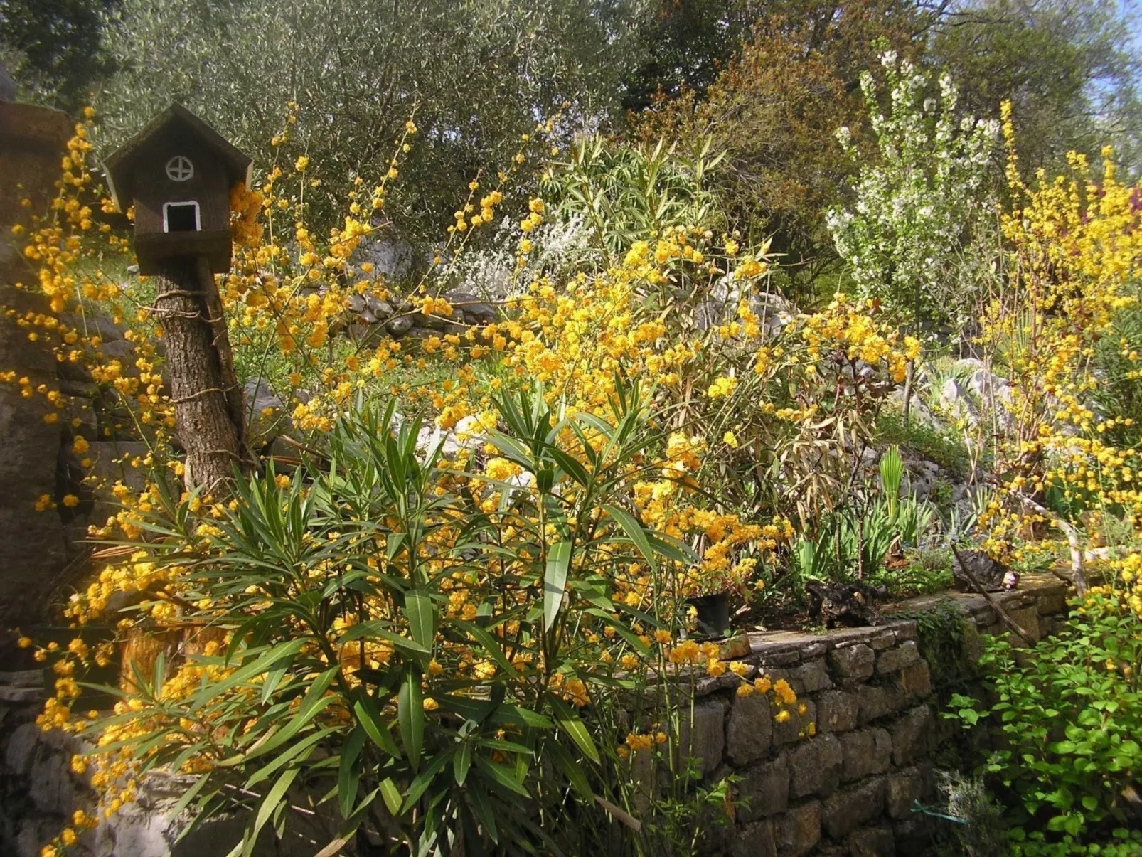 Mit Balkon und Terrasse-Draußen