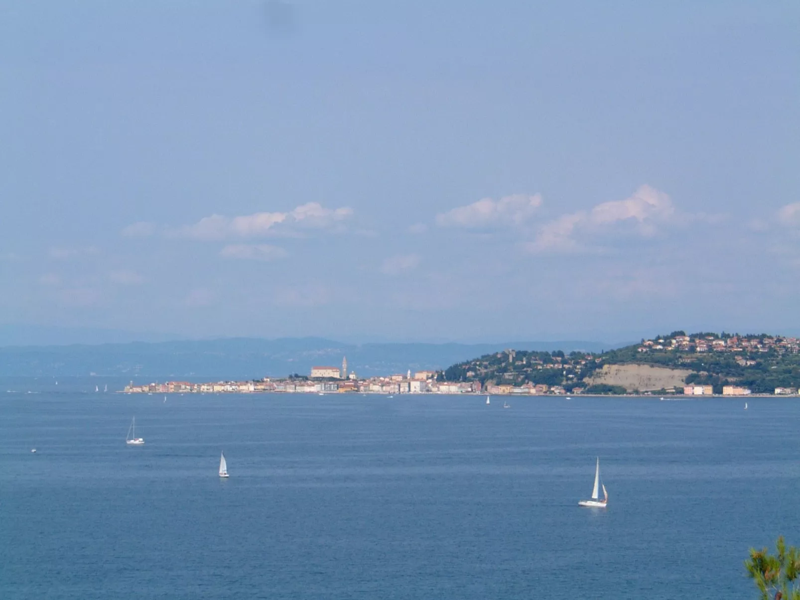 Villa del Golfo, Apartement mit Garten und Pool-Image-tags.info