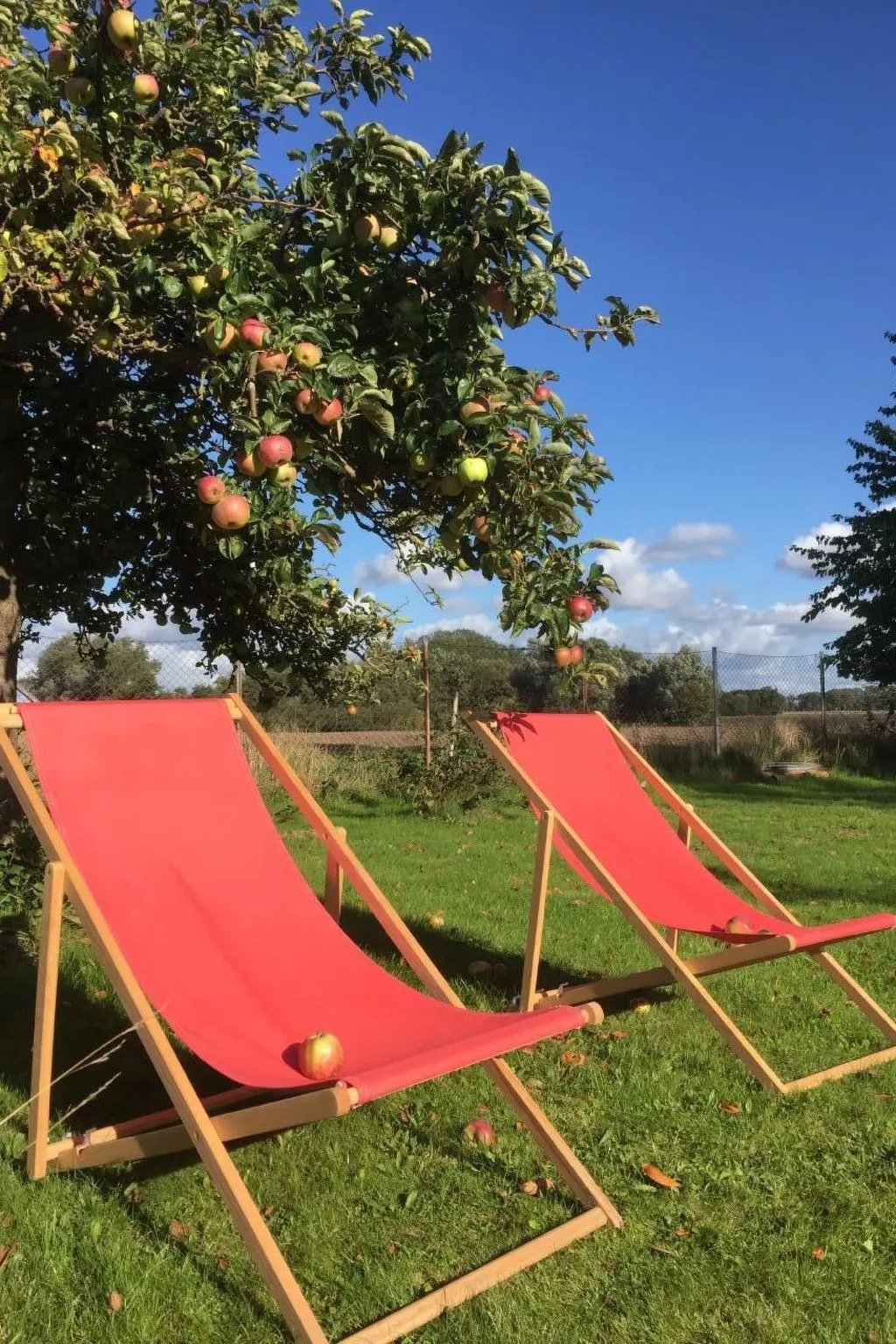 Bauernhaus auf Rügen-Dehors