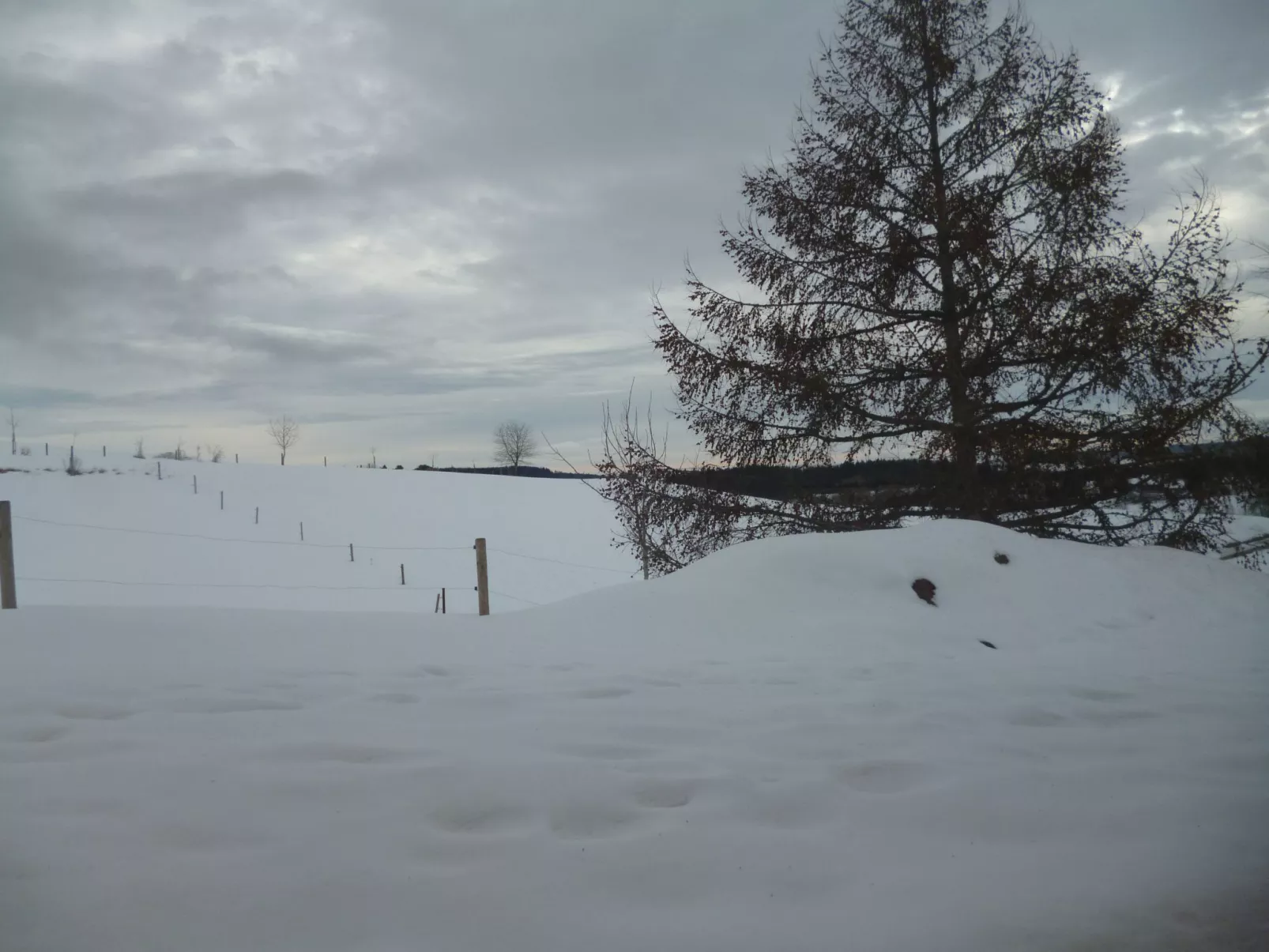 Luxus-Appartement in Kappel-Outside