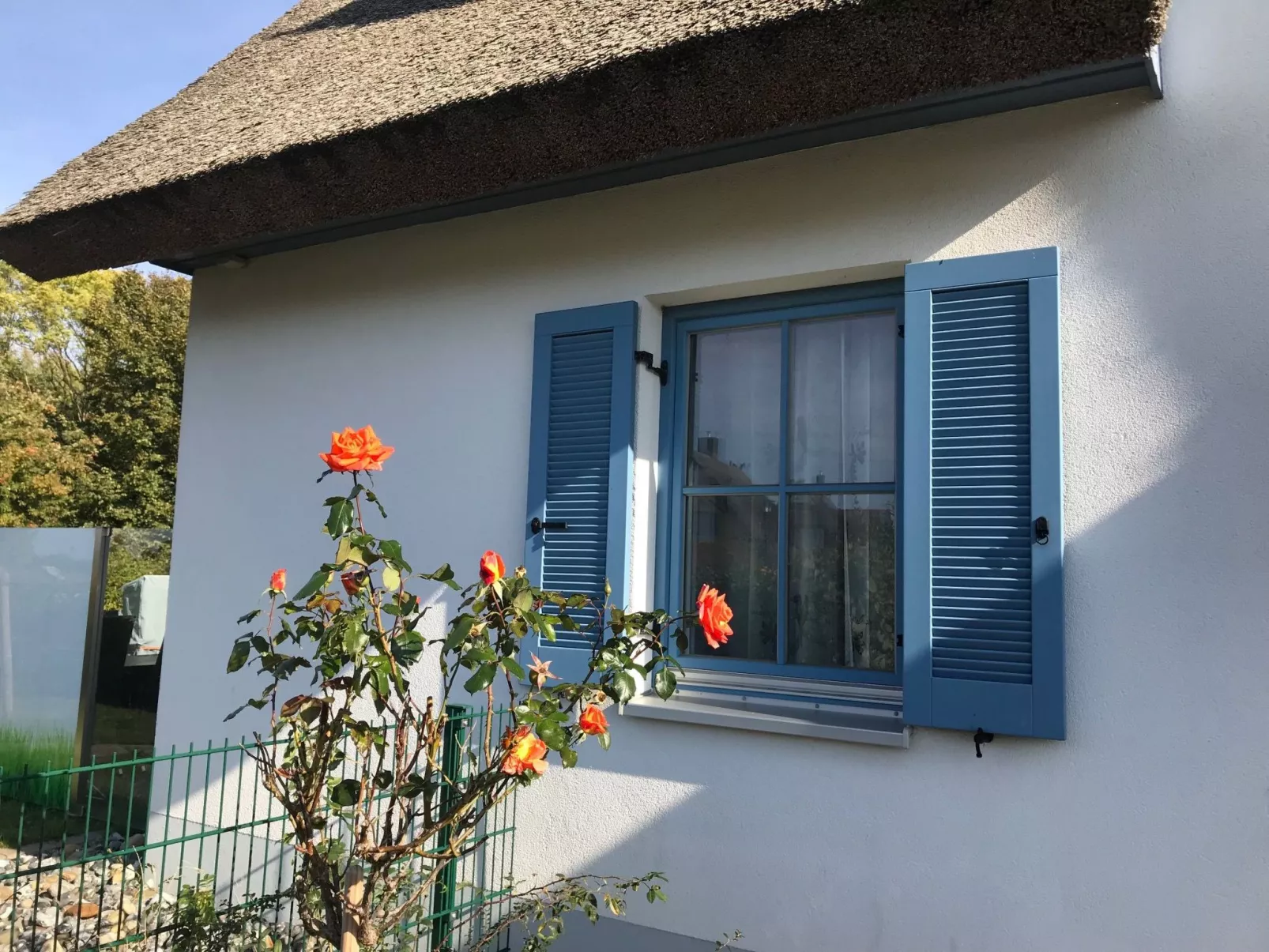 Reethaus Meeresbrise-Draußen