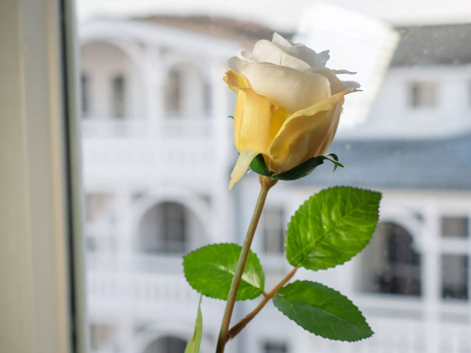 Dat Groote 551-Inside