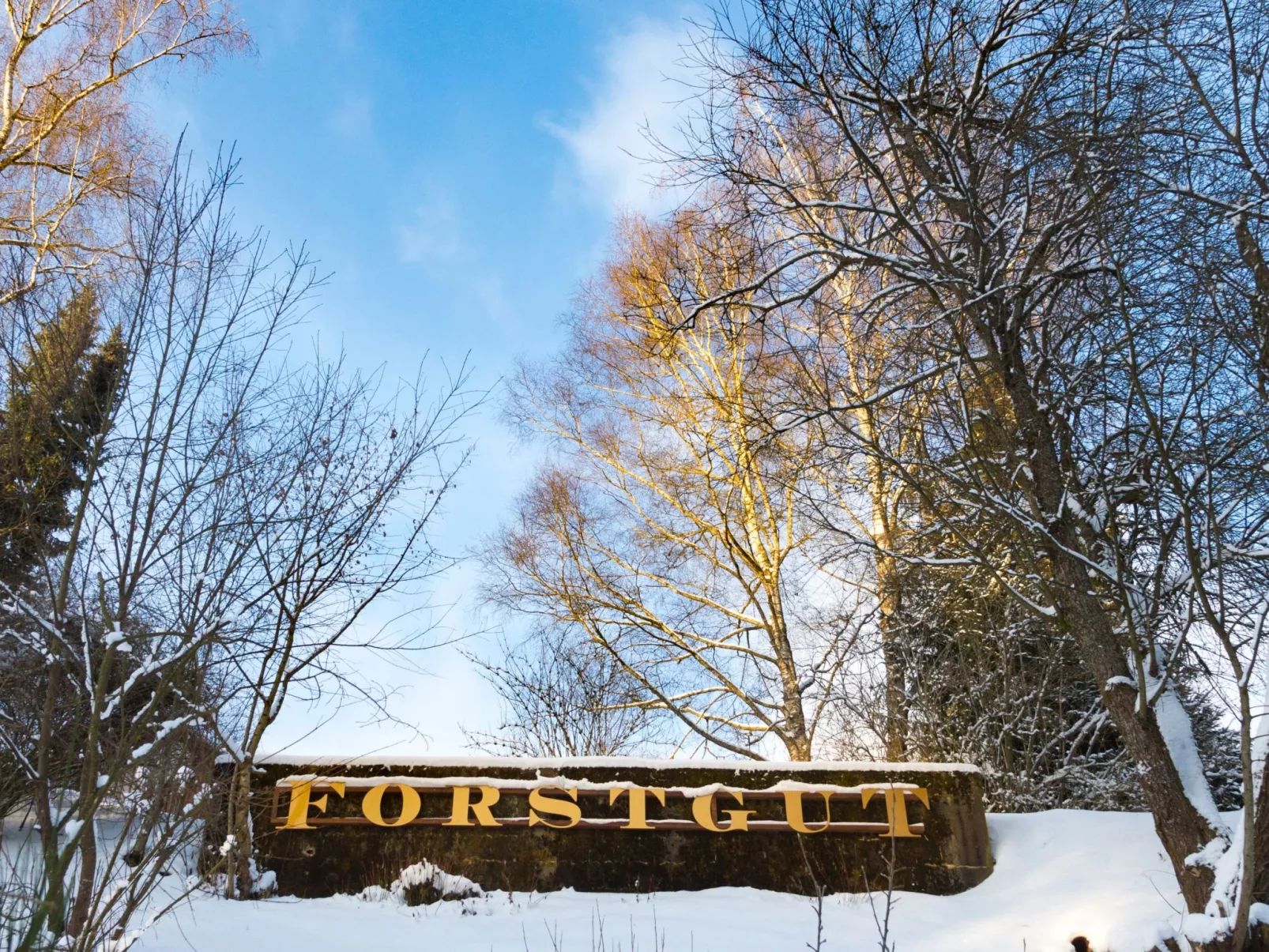 Chalet Försterei-Draußen