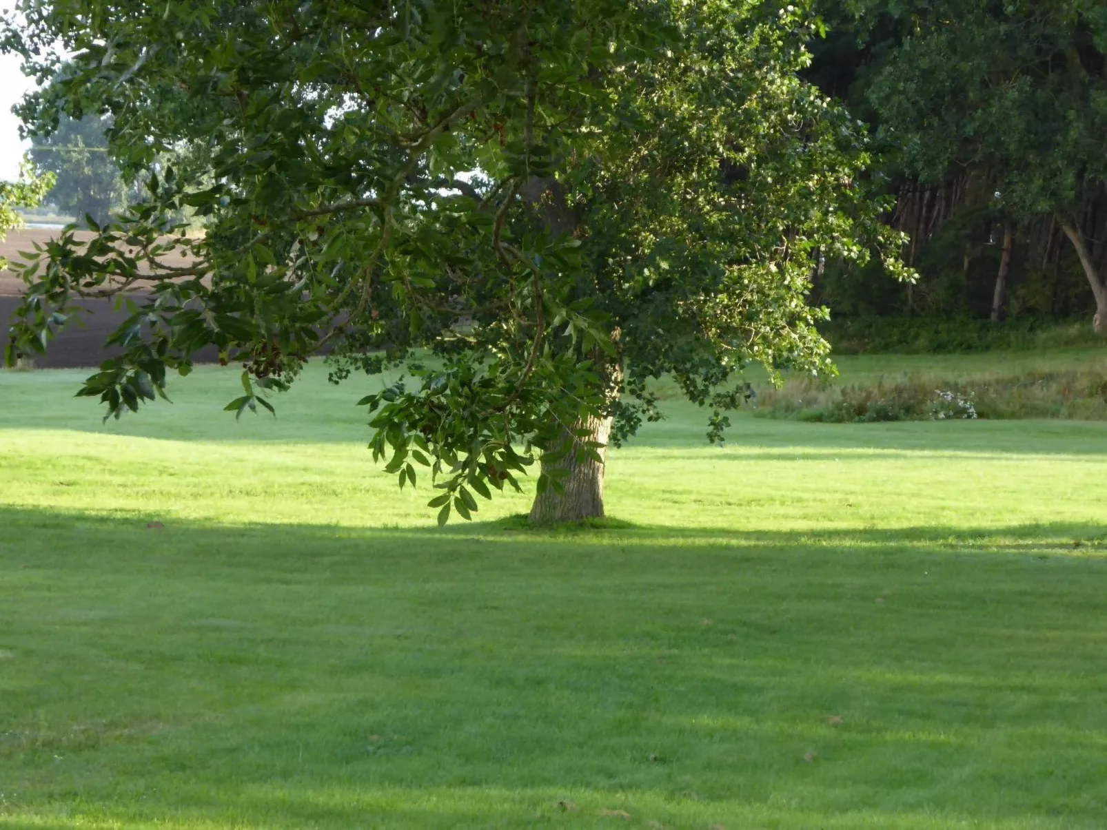 Parterre WEST-Draußen