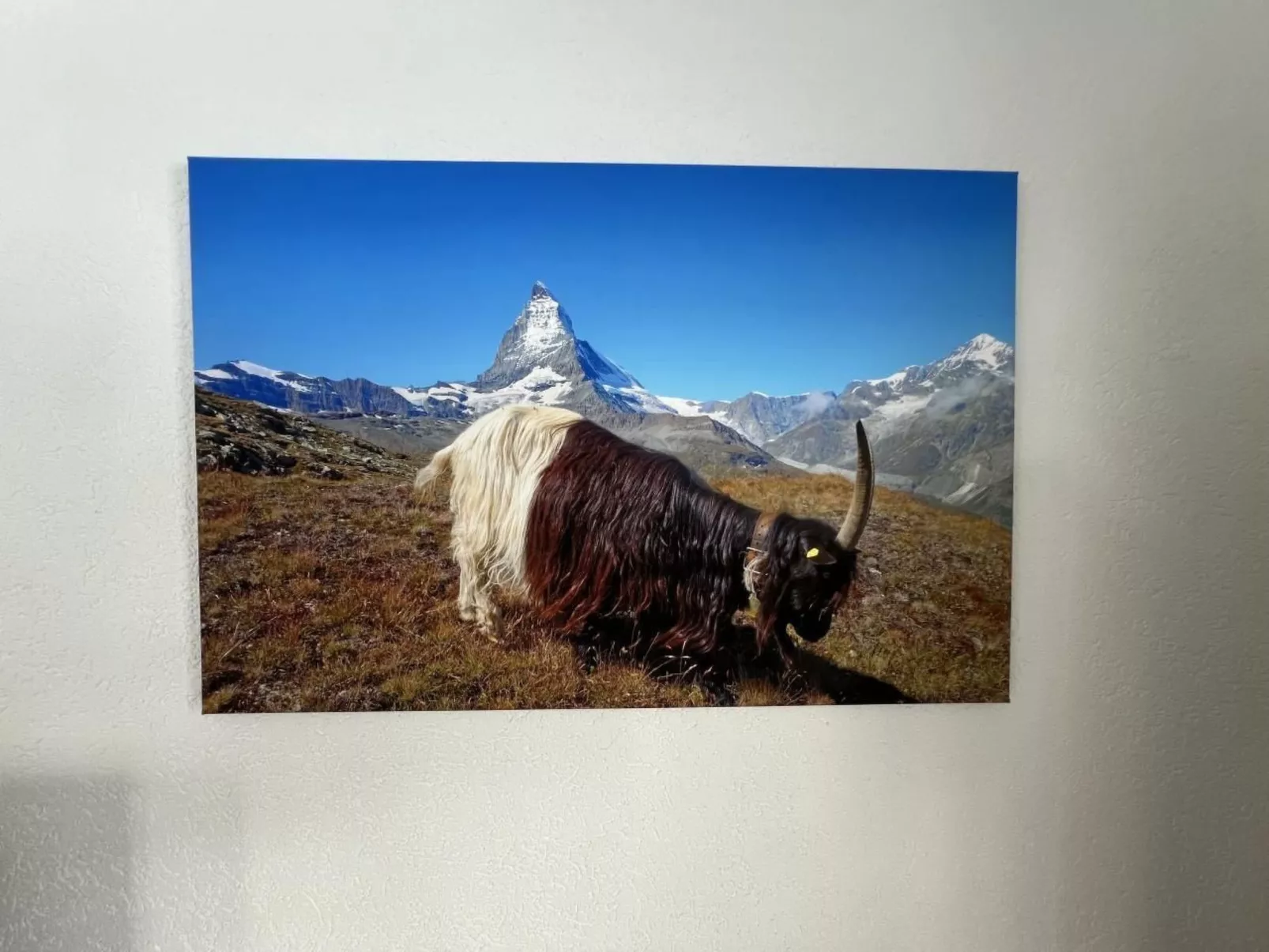 Apartment mit fantastischem Blick aufs Matterhor-Dehors