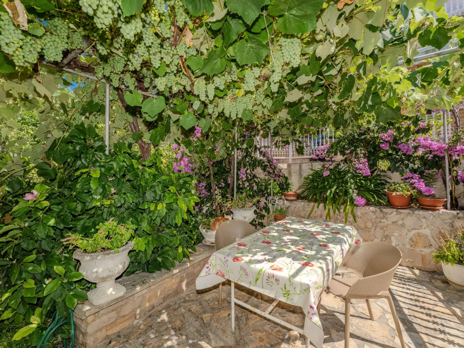 Gartenvilla am Meer Kožino-Draußen