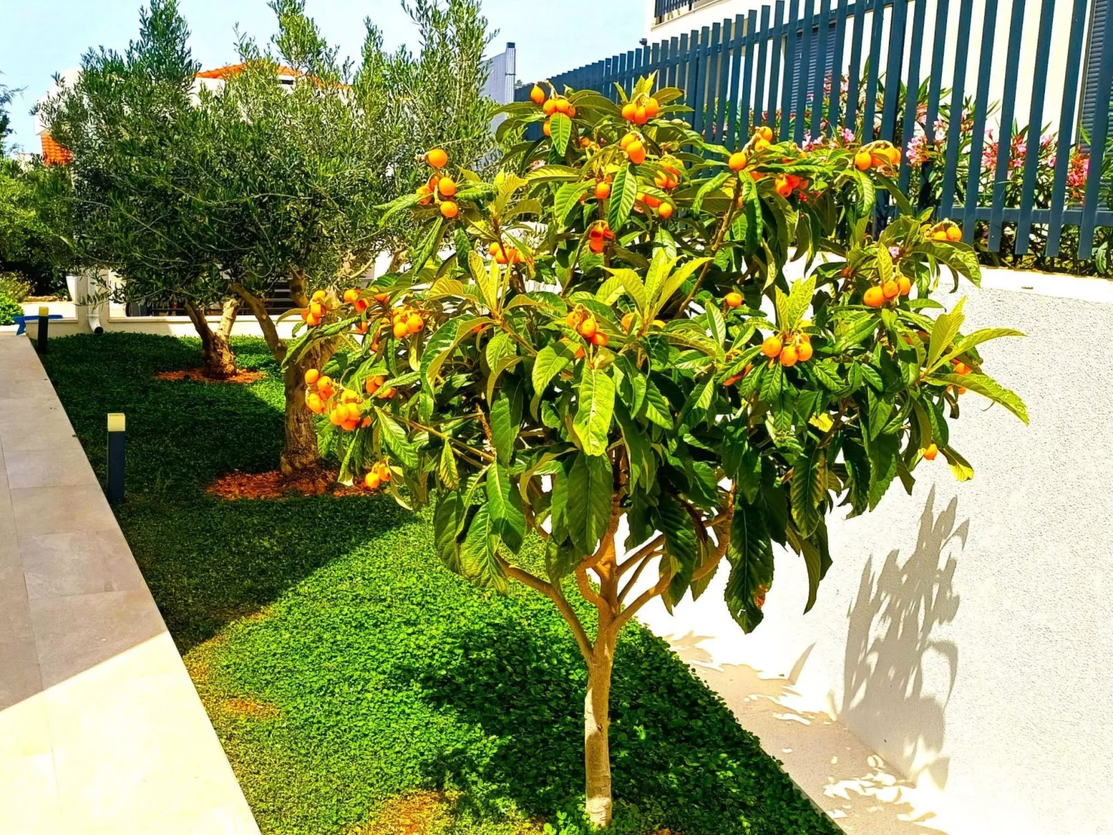 Luxuriöse Villa Dolce Vita direkt am Meer mit privatem Pool und Parkplatz-Draußen