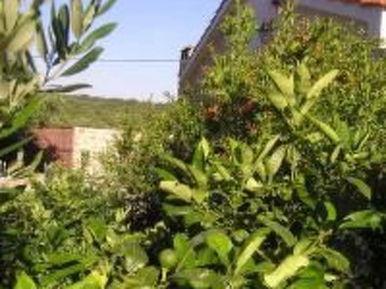 "Vila SanAdrija"-Draußen