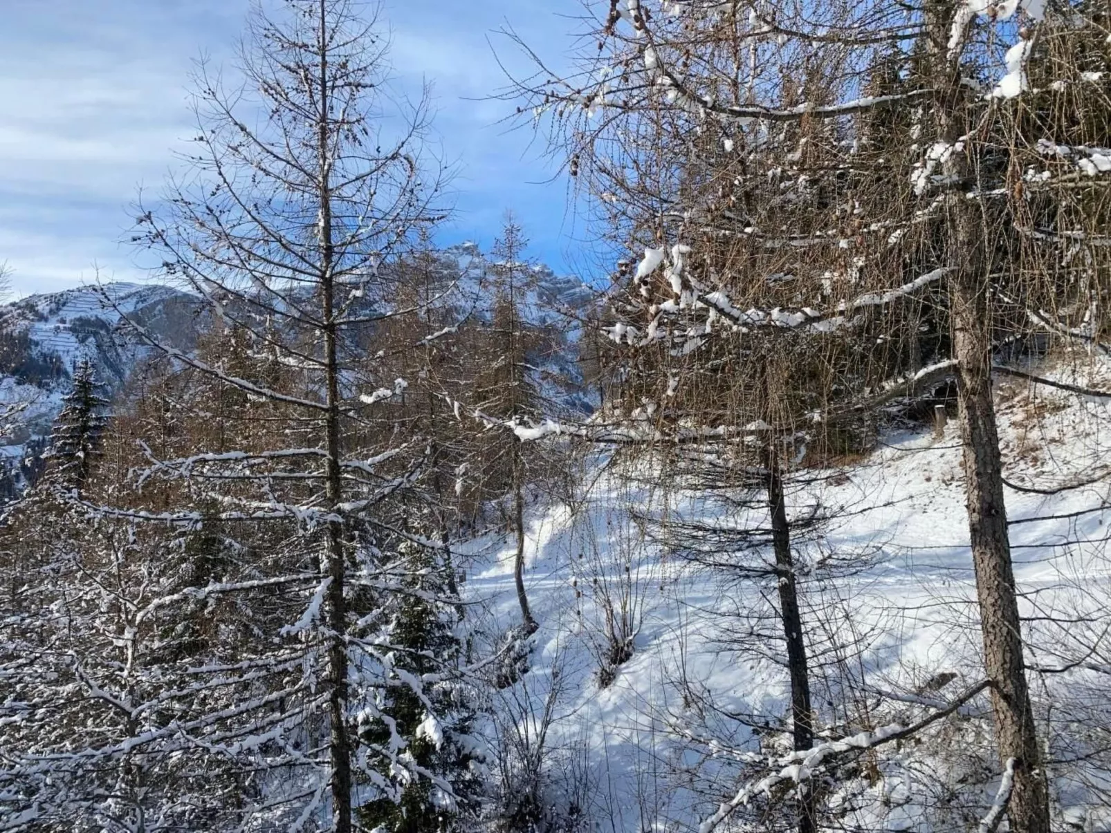 Chalet Abendstern-Dehors