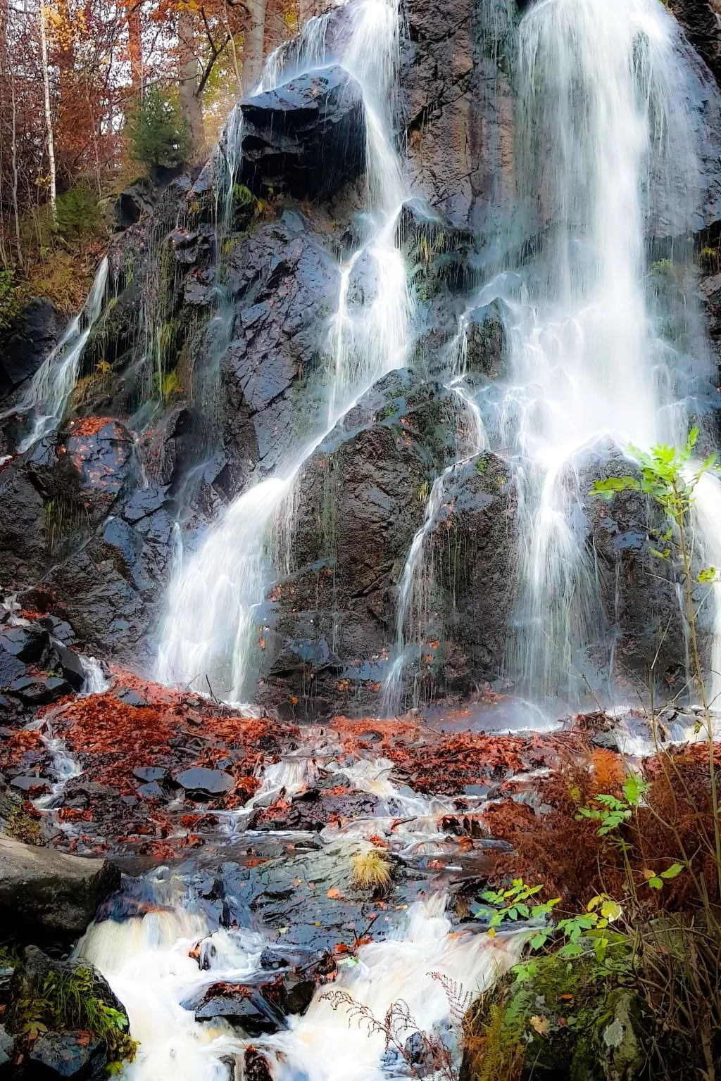 Villa Silberborn A10 - Draußen