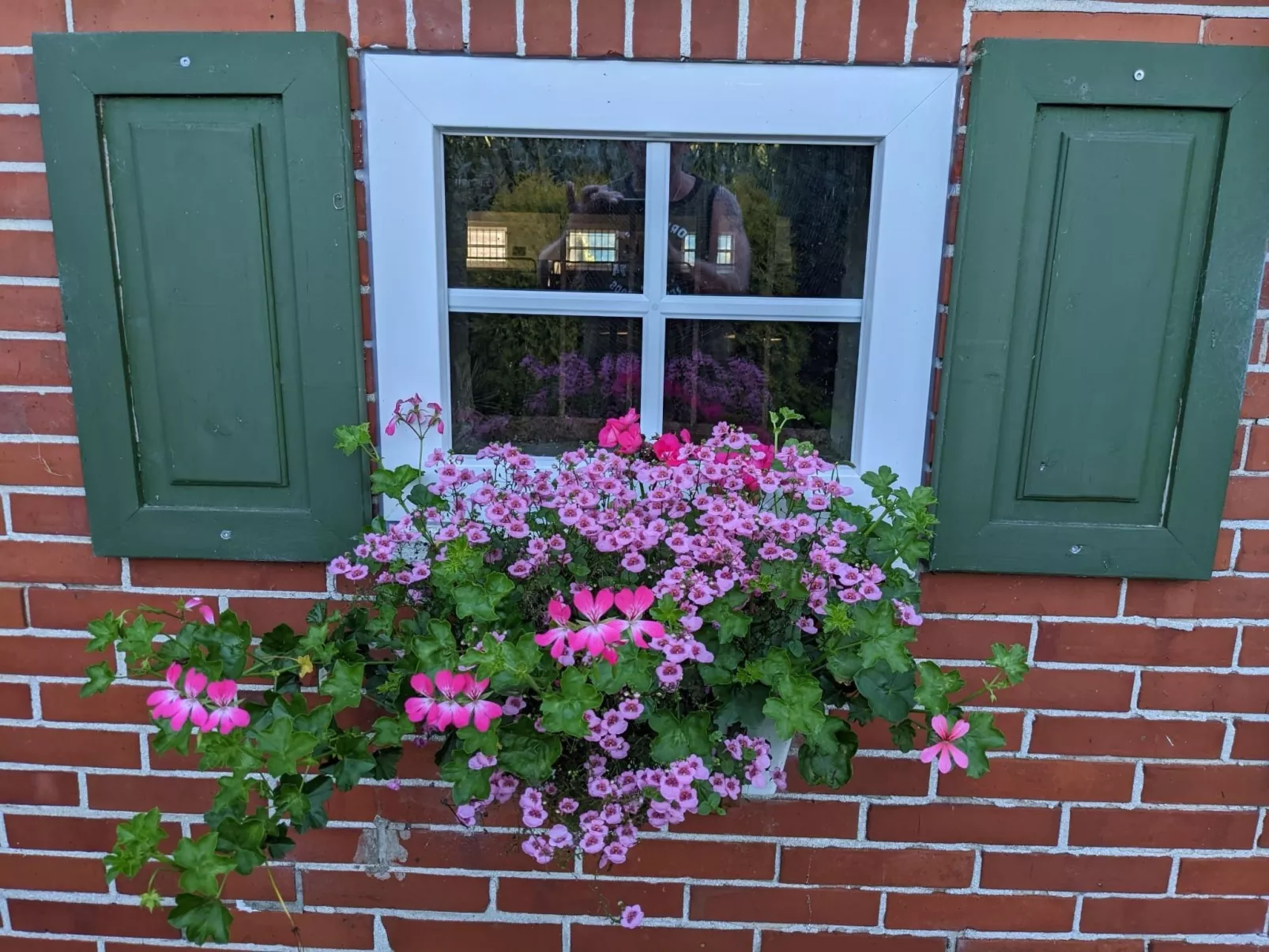 Landambiente Halbemond-Draußen