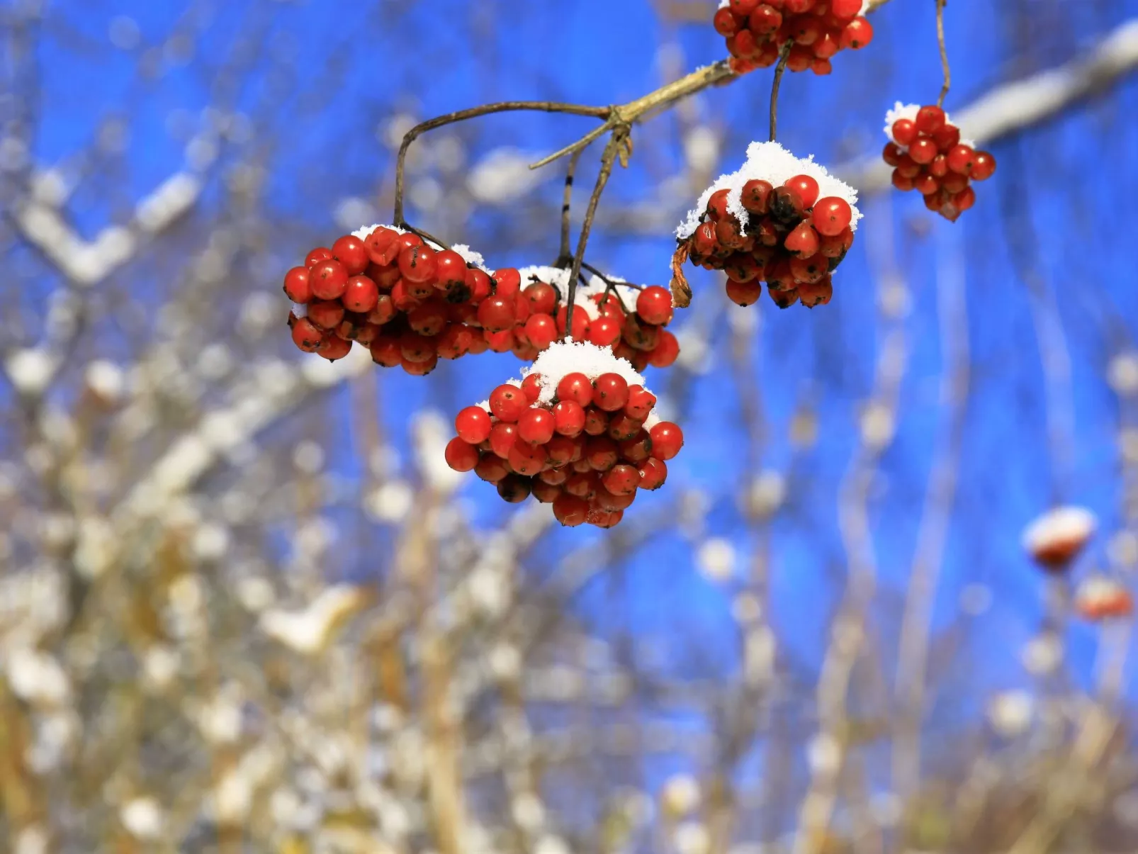 Exklusive Ferienwohnung mit eigener Sauna-Draußen