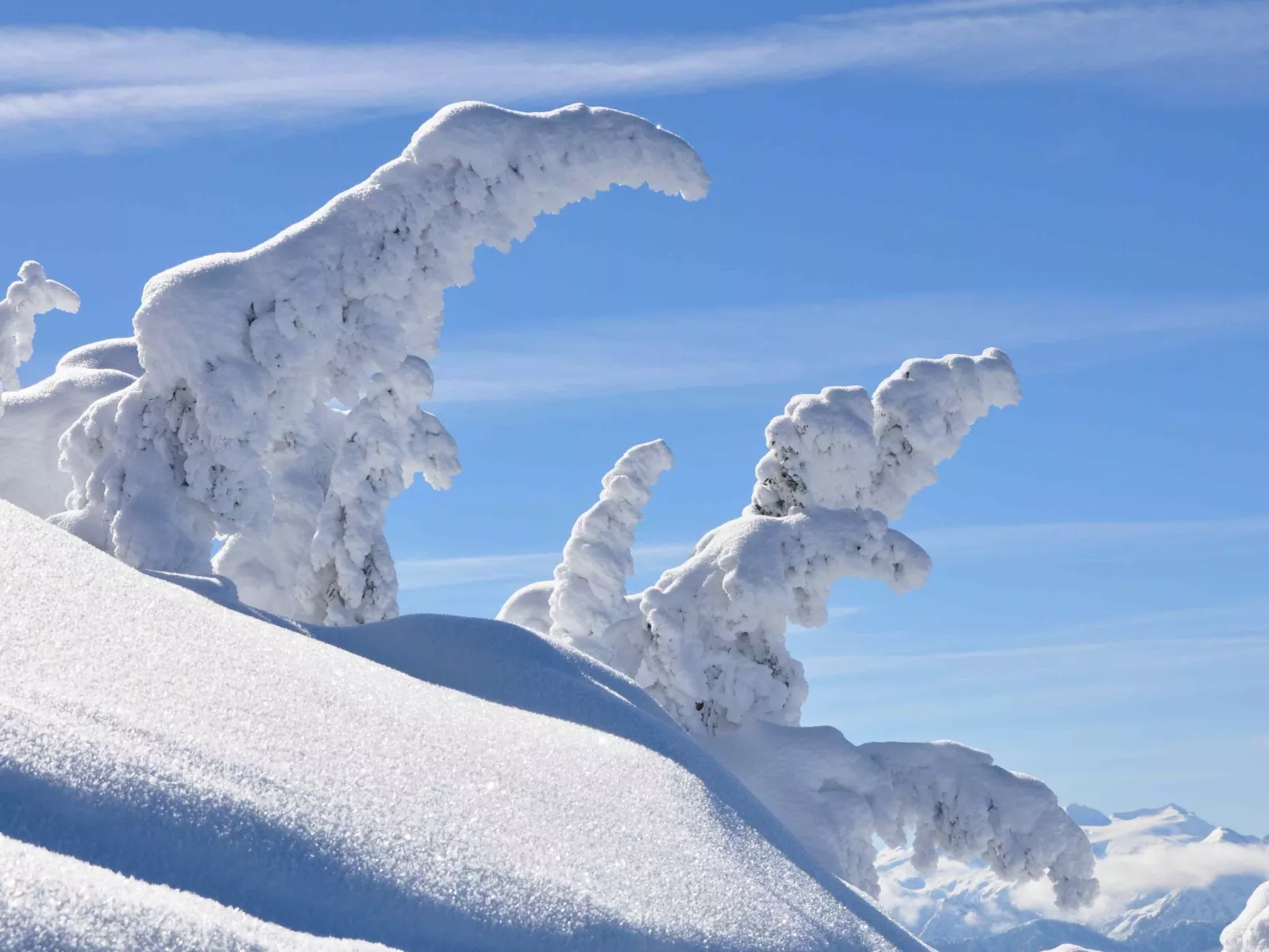 Appartement Almliebe-Outside