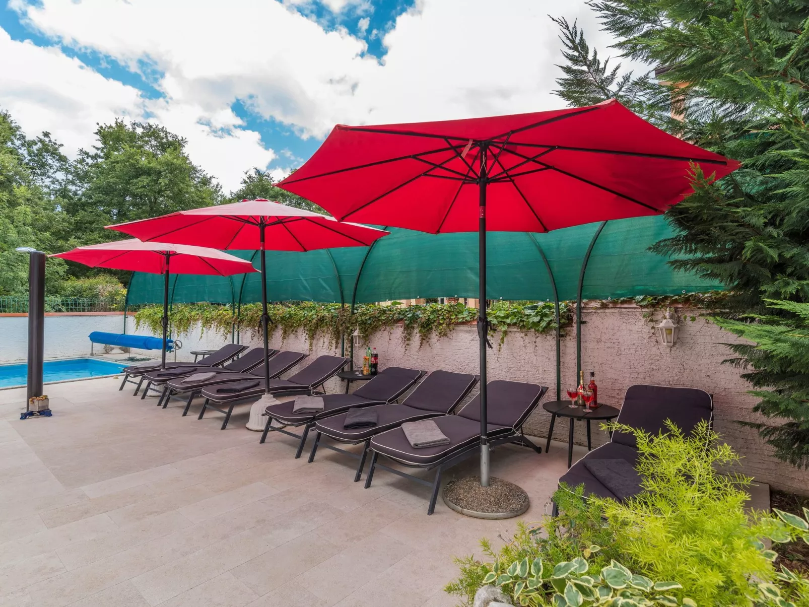 Charmante Familienvilla, in der Hunde willkommen sind-Draußen