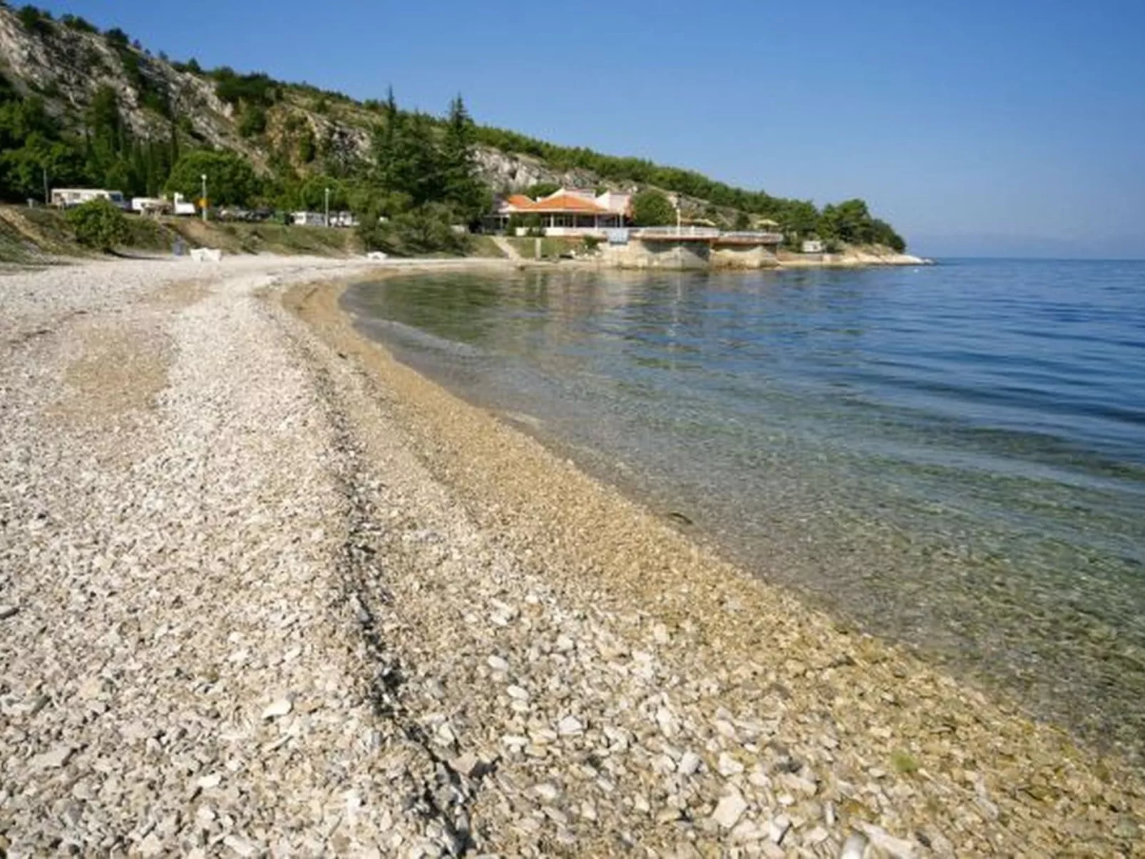 ALBINA STUDIO 5-Image-tags.info