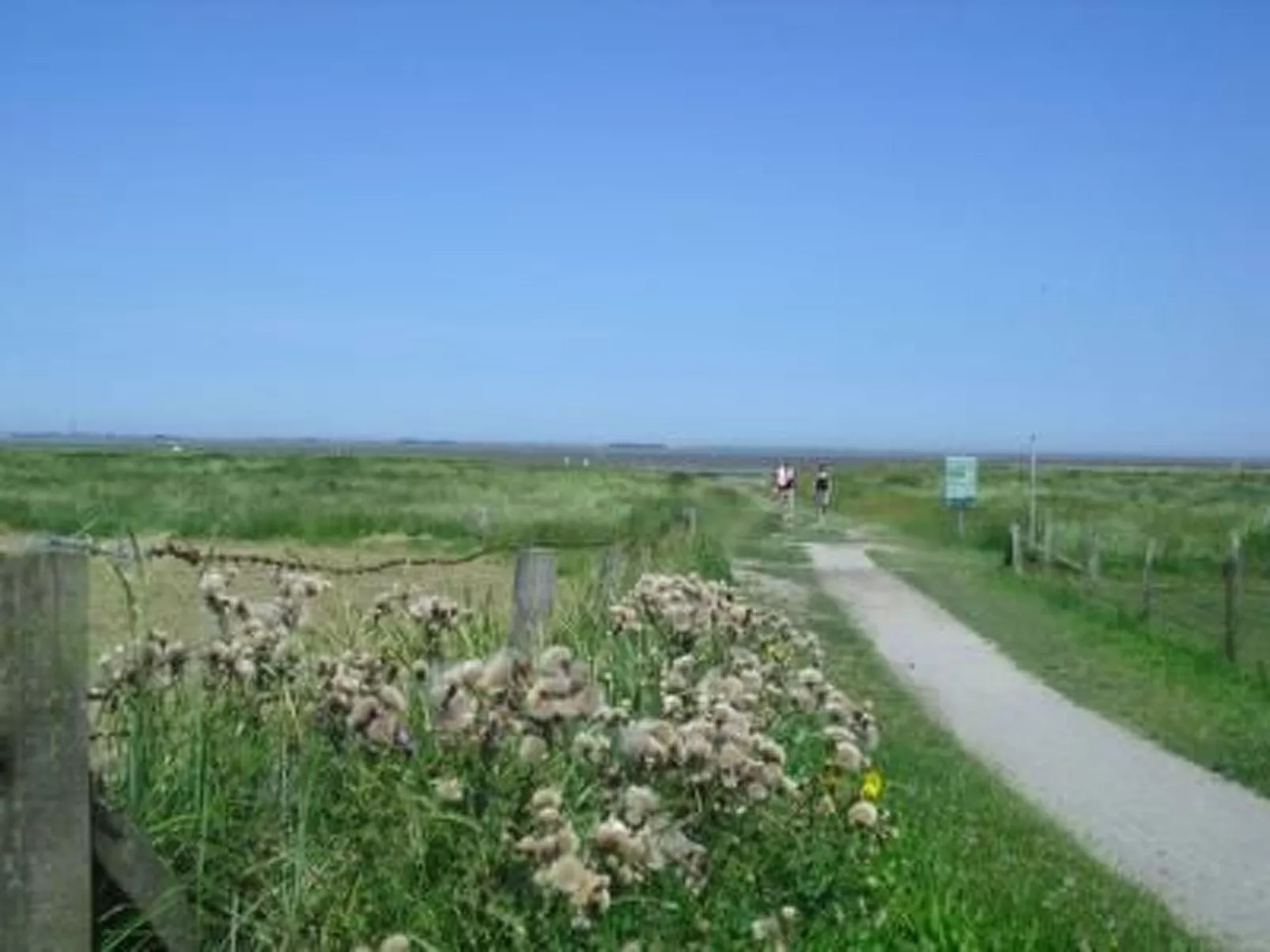 Geräumige Ferienwohnung mit Garten und Grill-Outside