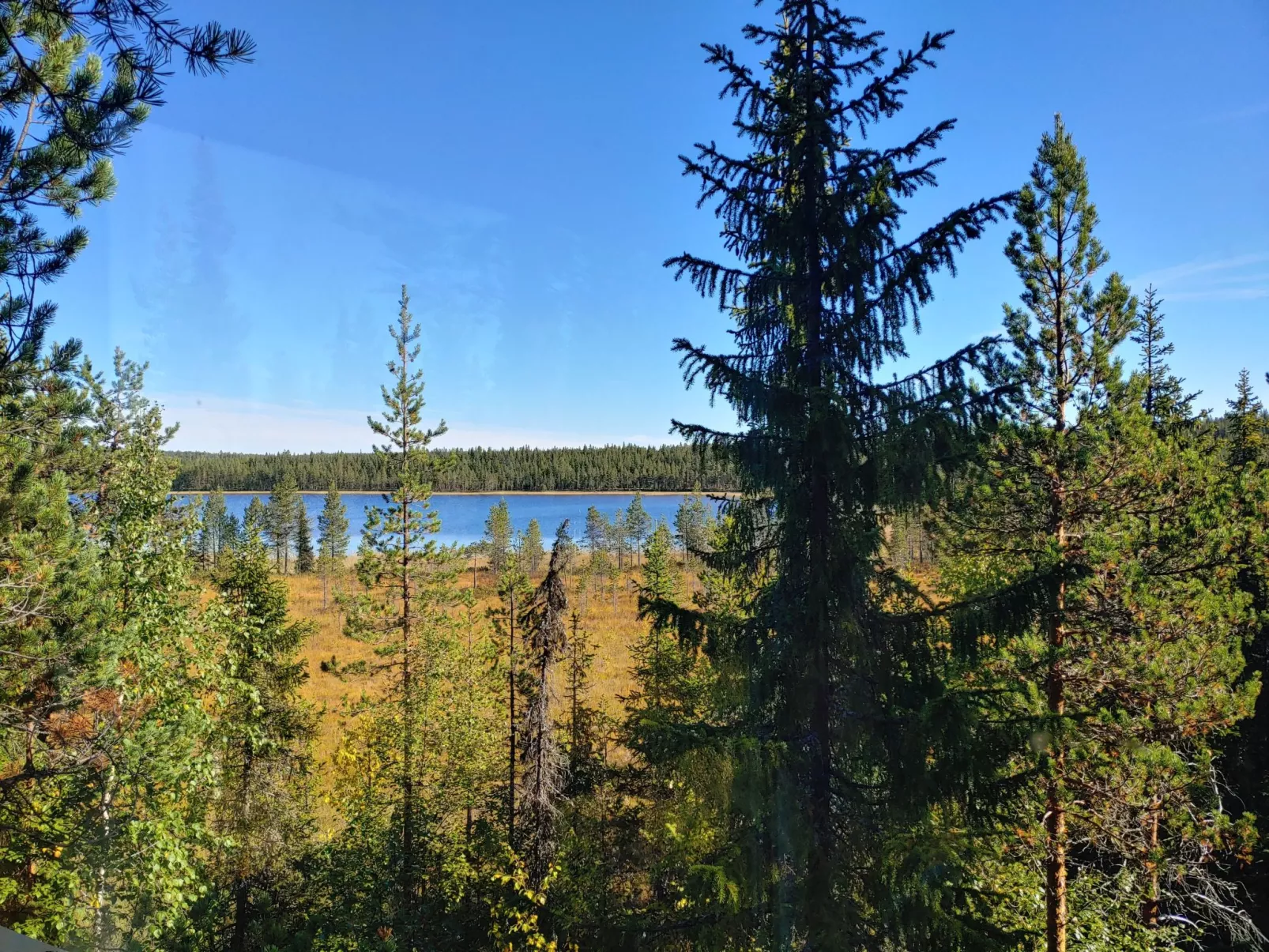 Aurora Lodge-Draußen