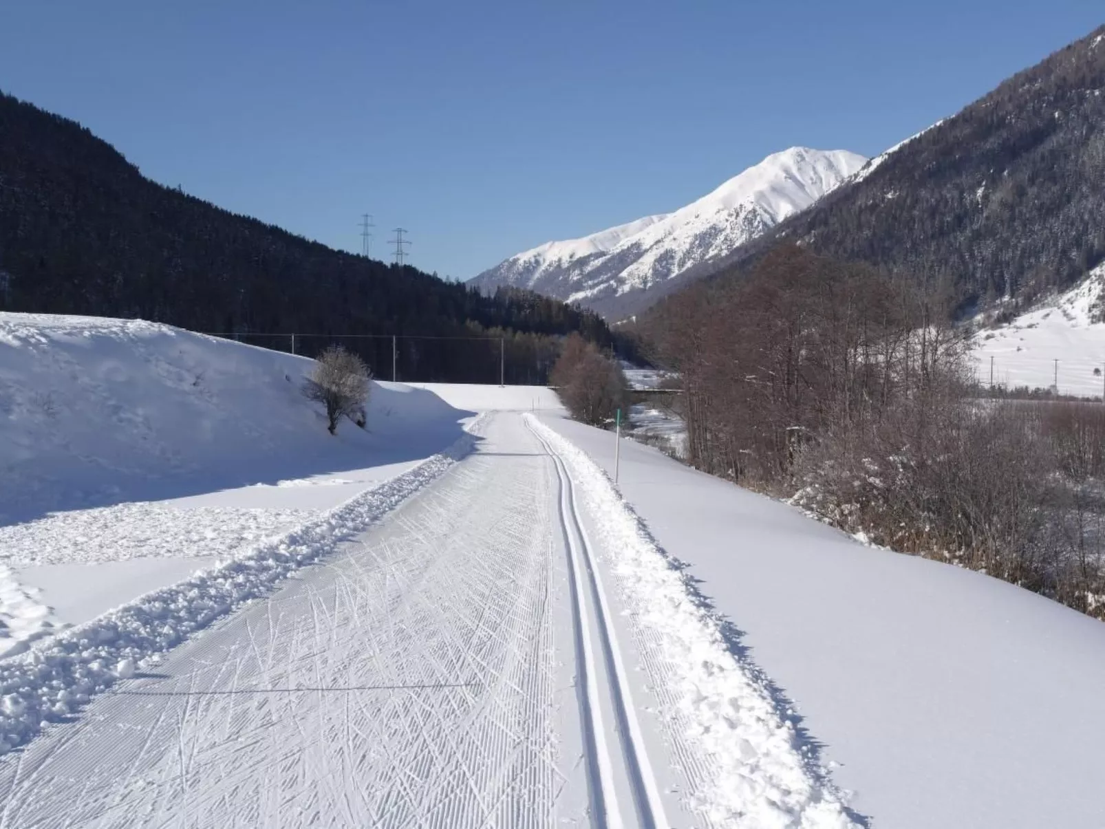 Ers Curtins-Draußen