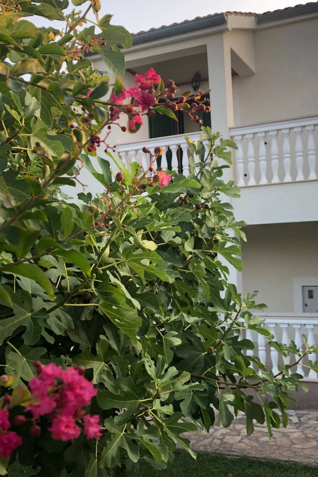 Villa Olive Grove-Outside