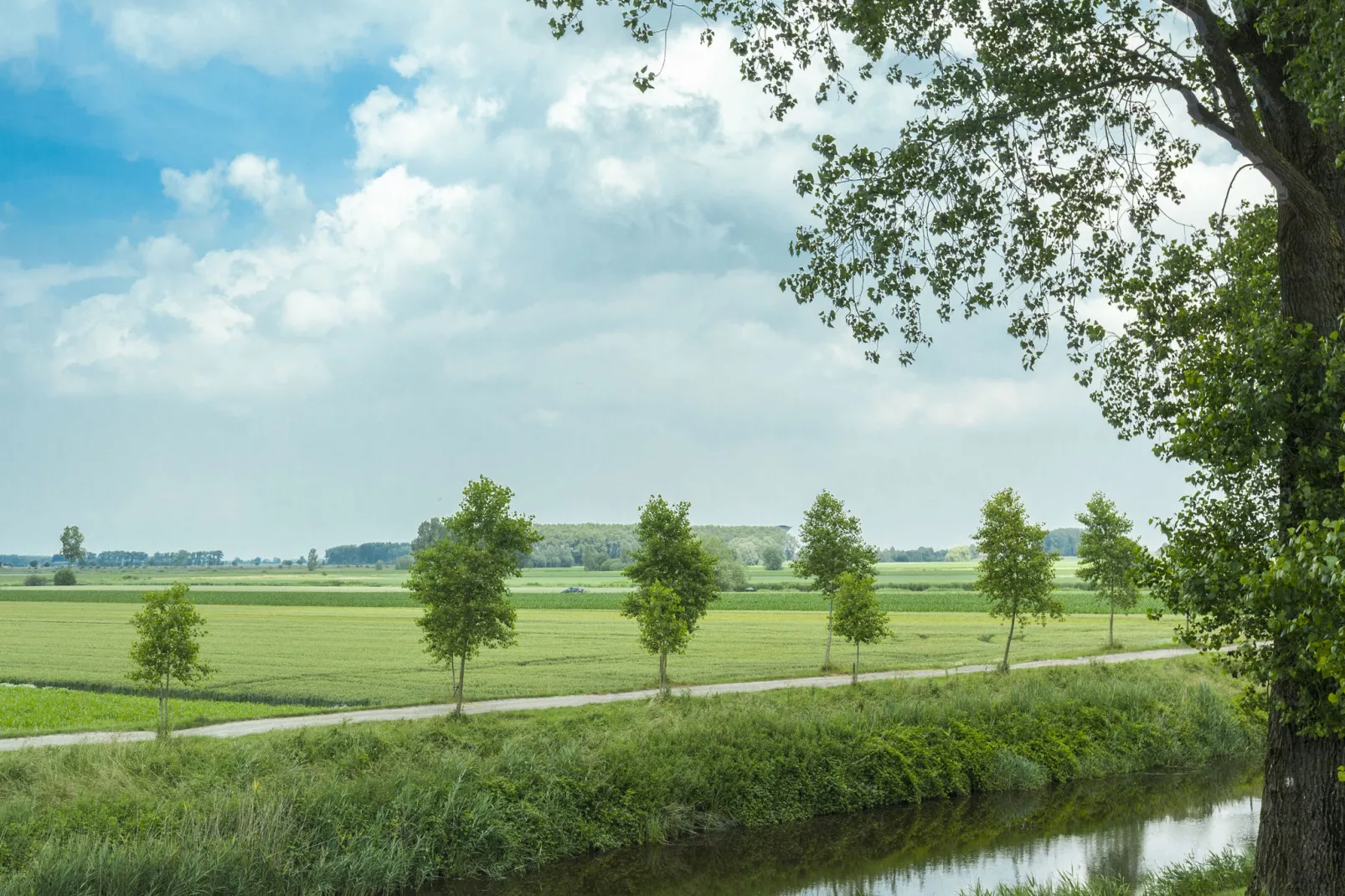 De Zonnebrug-View summer