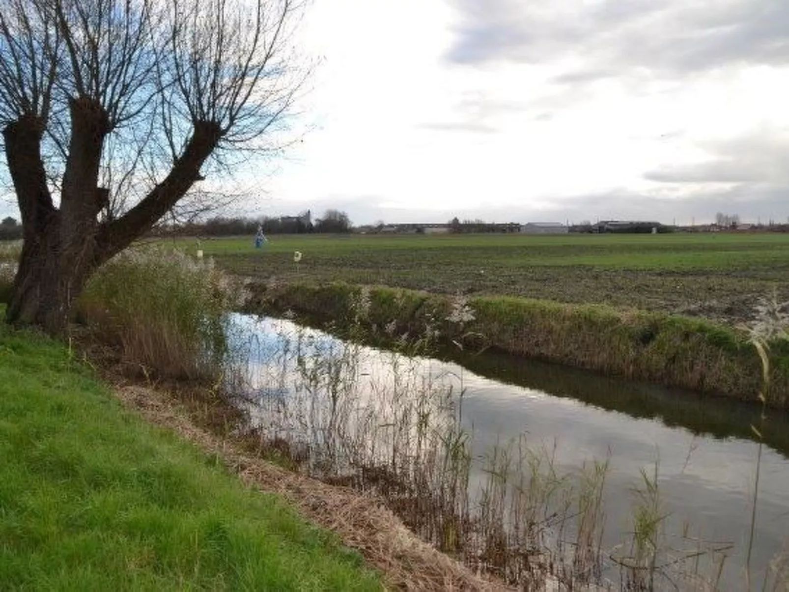 Windekind mit Blick auf die Felder-Outside