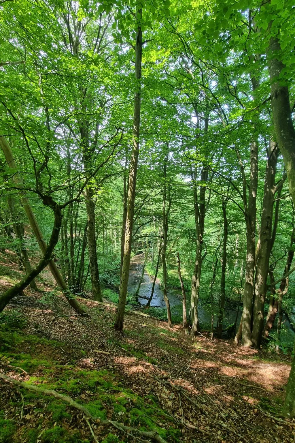 Lublewo21 Ferienhäuser - Draußen