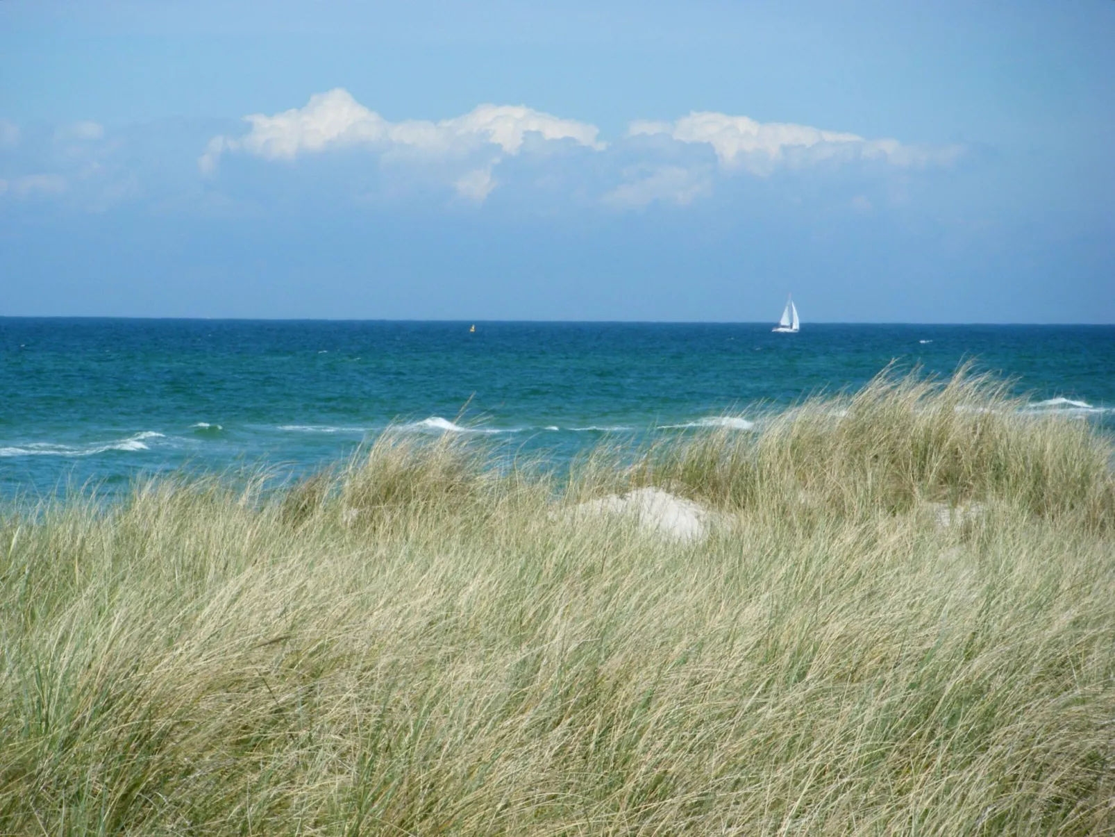 Admiral's Corner Luv-Outside