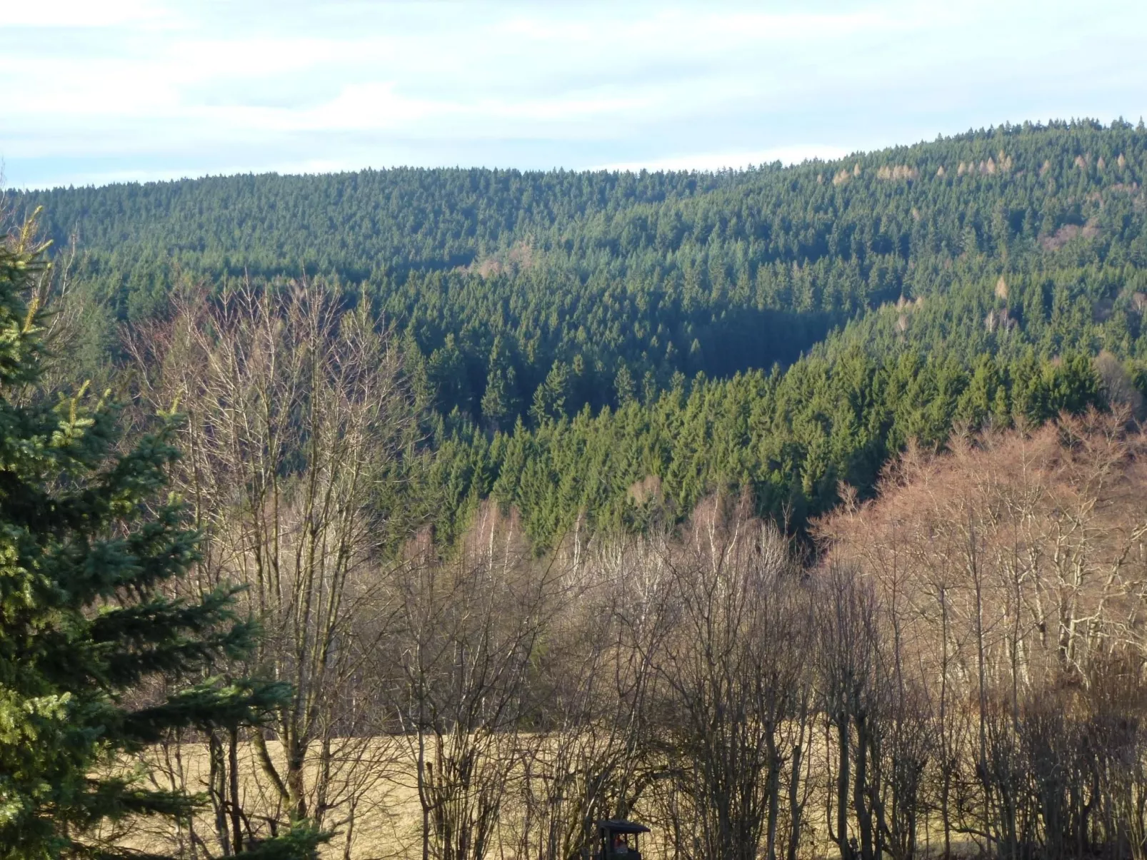 Mit Blick auf die Berge-Draußen