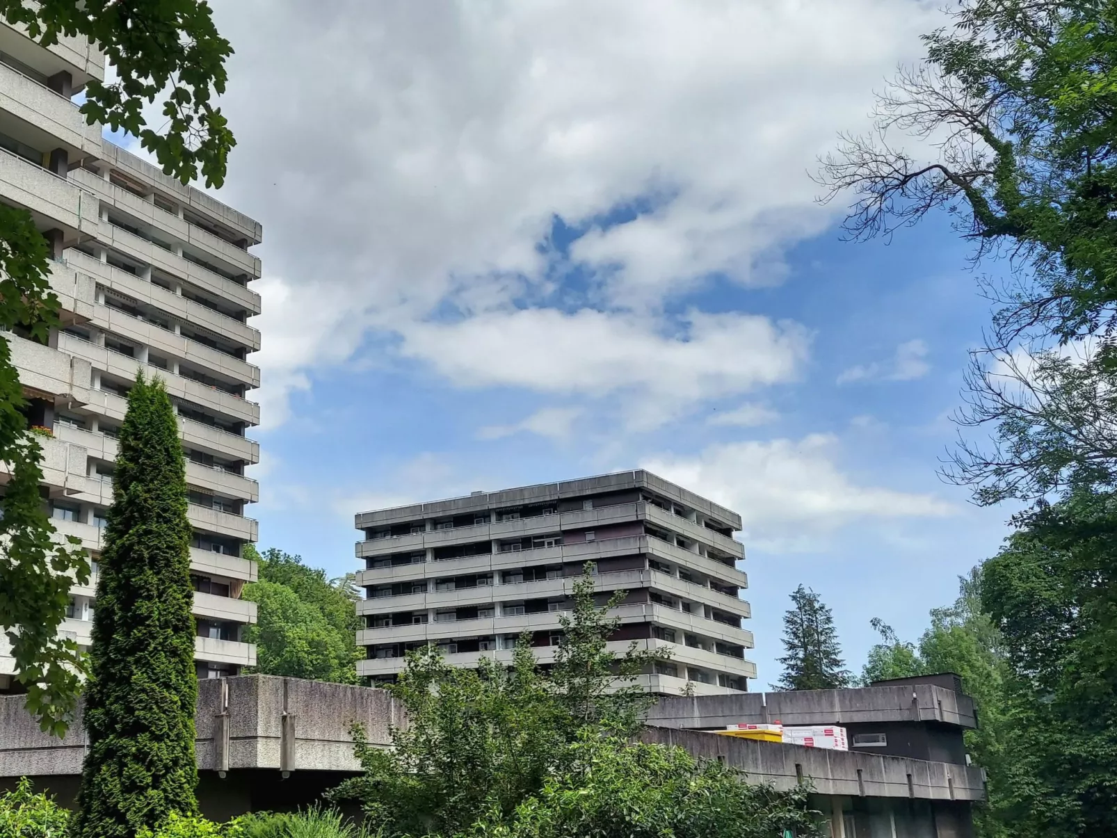 Wanderfalke-Image-tags.info