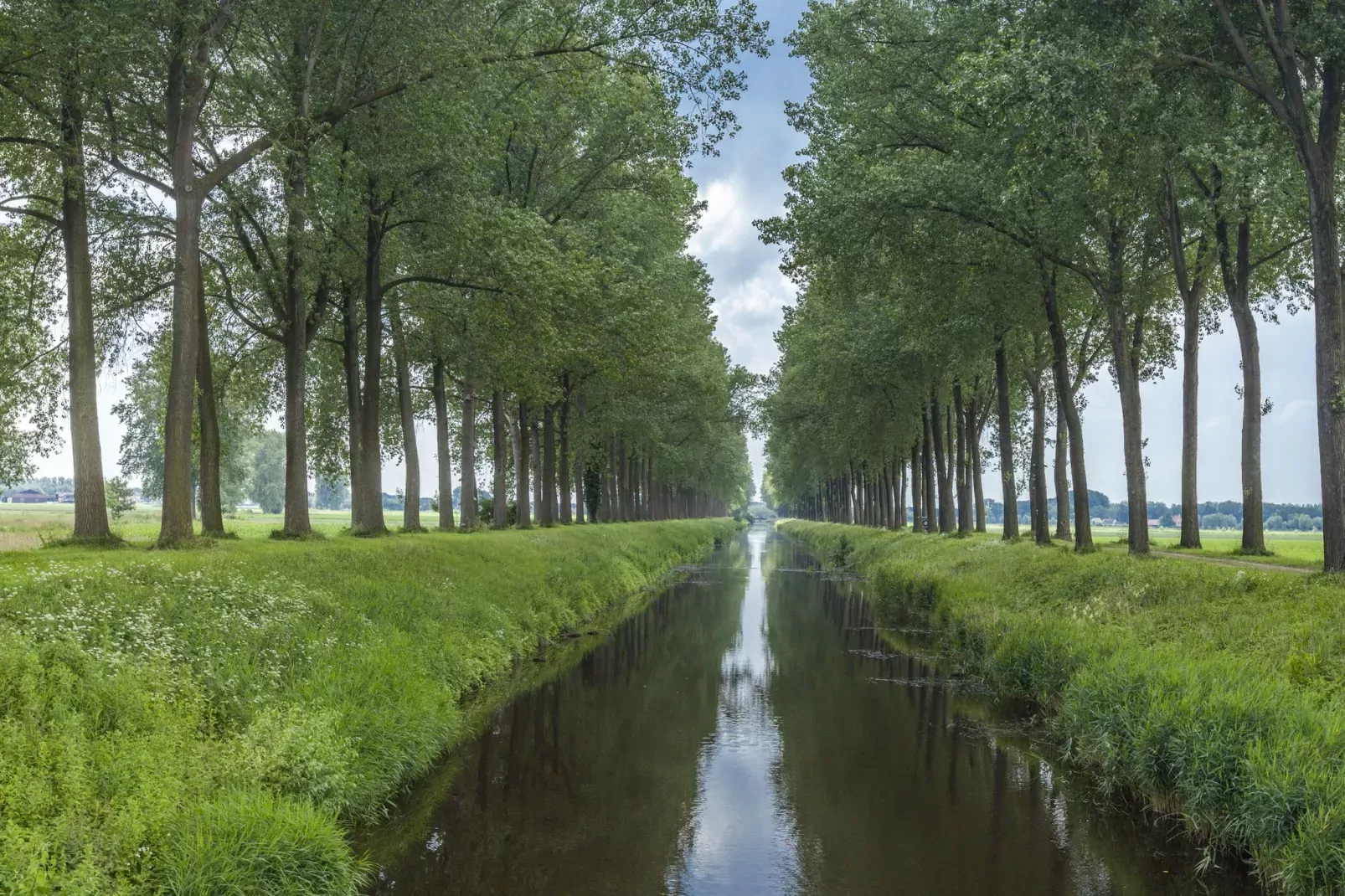 De Zonnebrug-Areas summer 1km