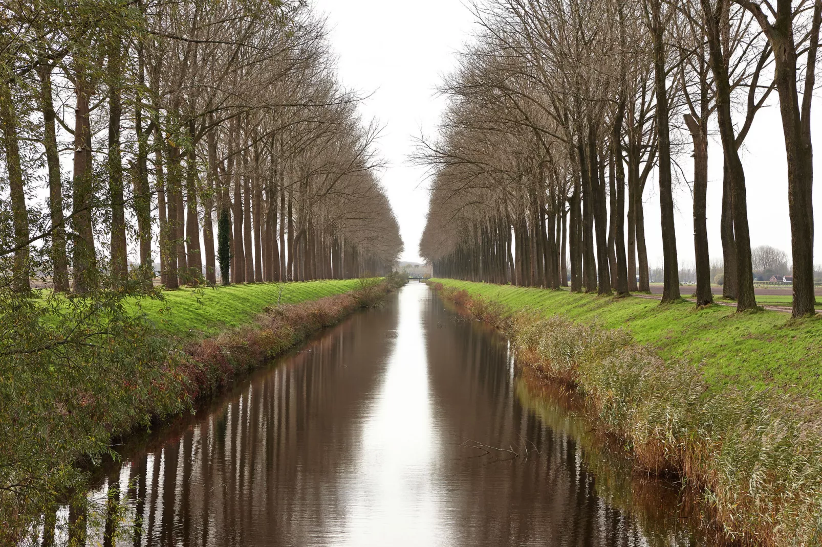 De Zonnebrug-Area winter 1km